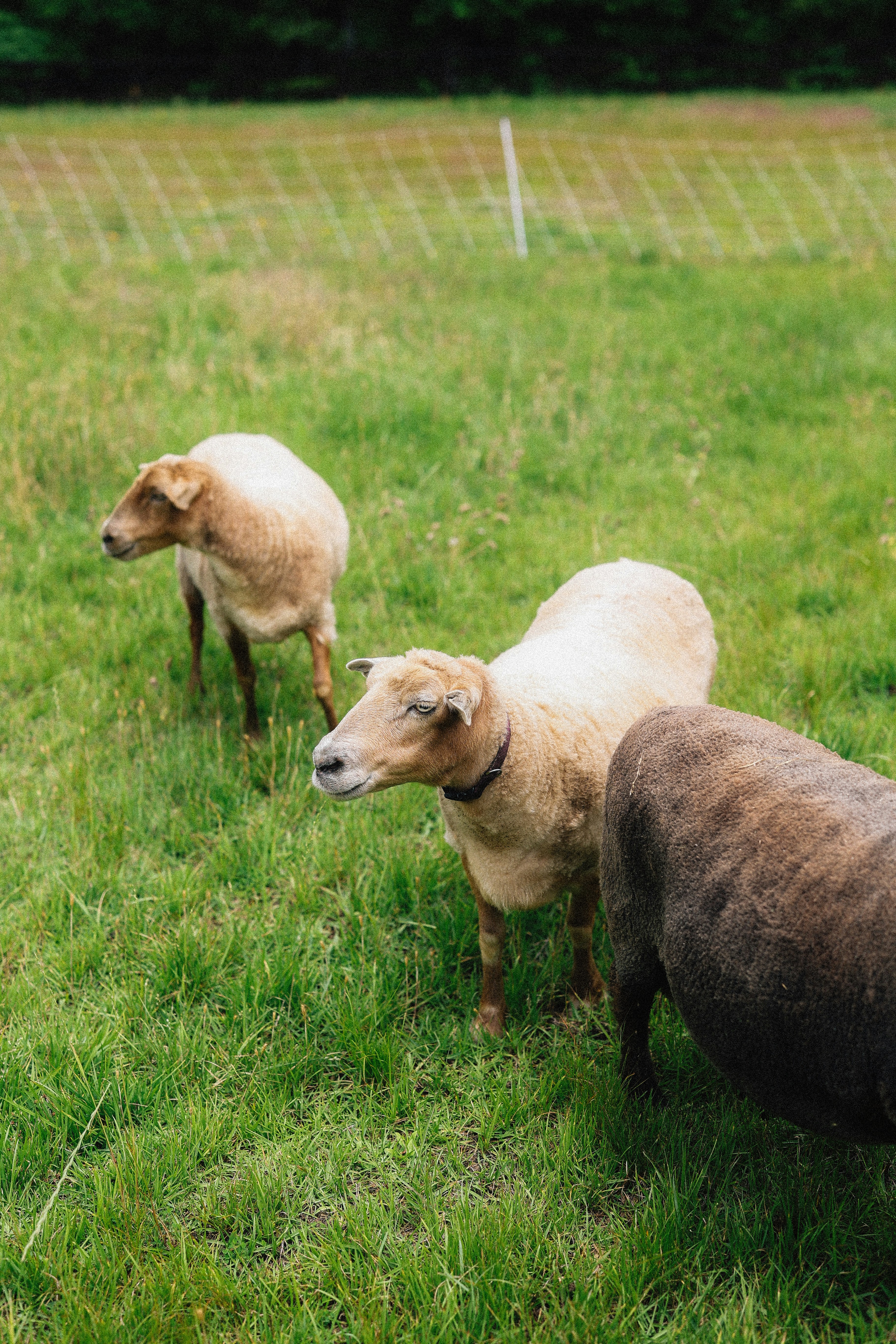 Photo by brookebalentine