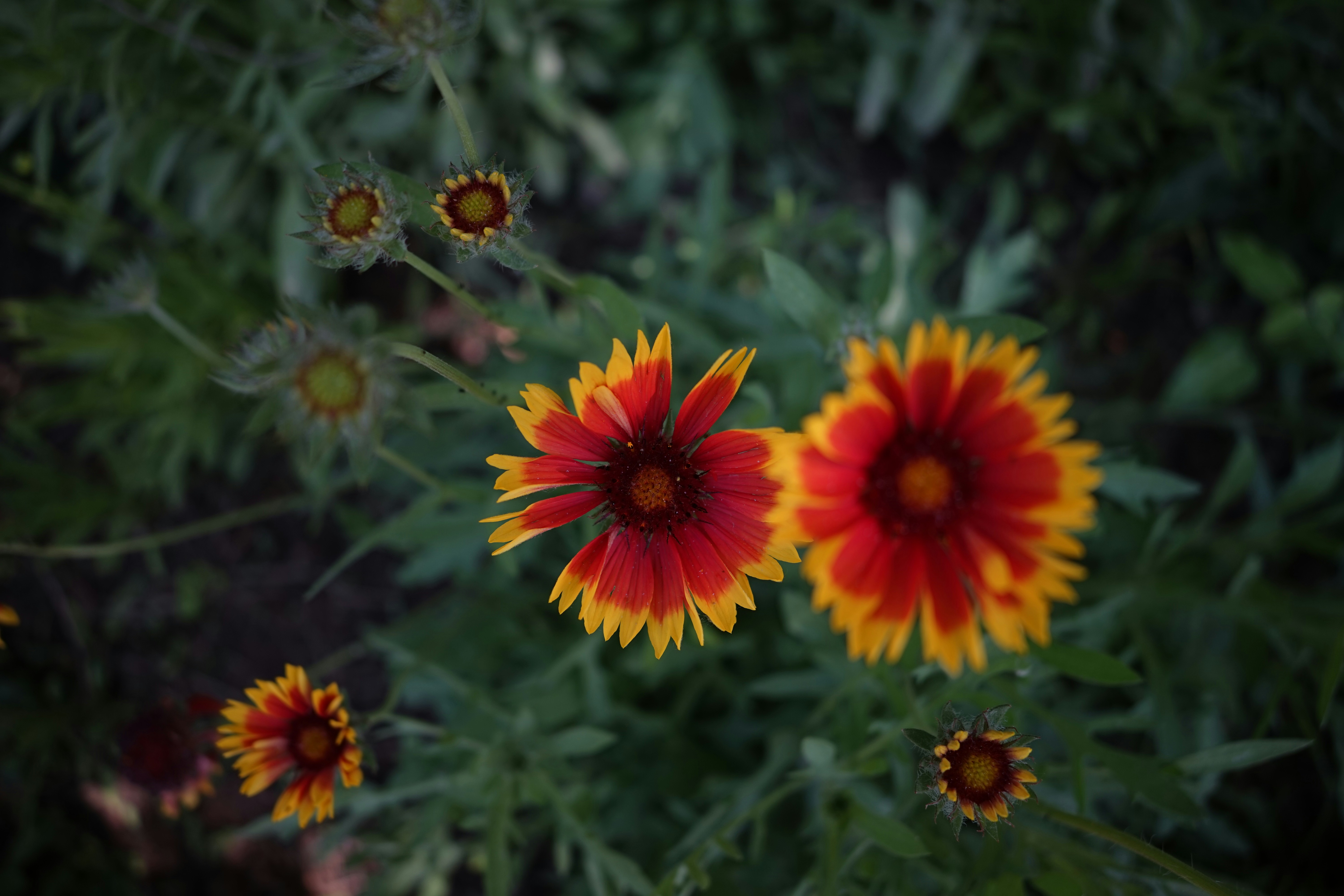 Photo by choumeiqishi