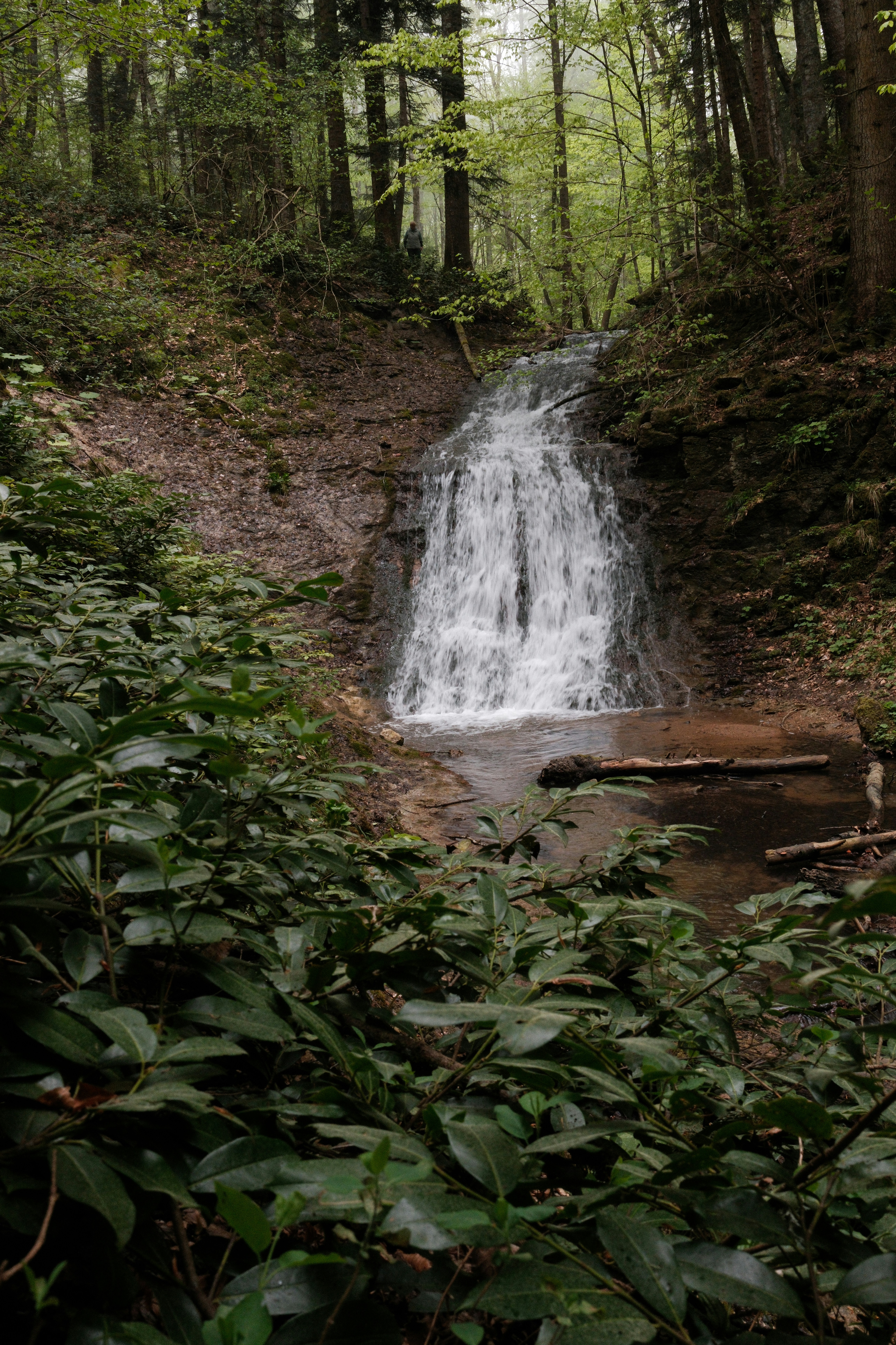 Photo by nikan_tanya