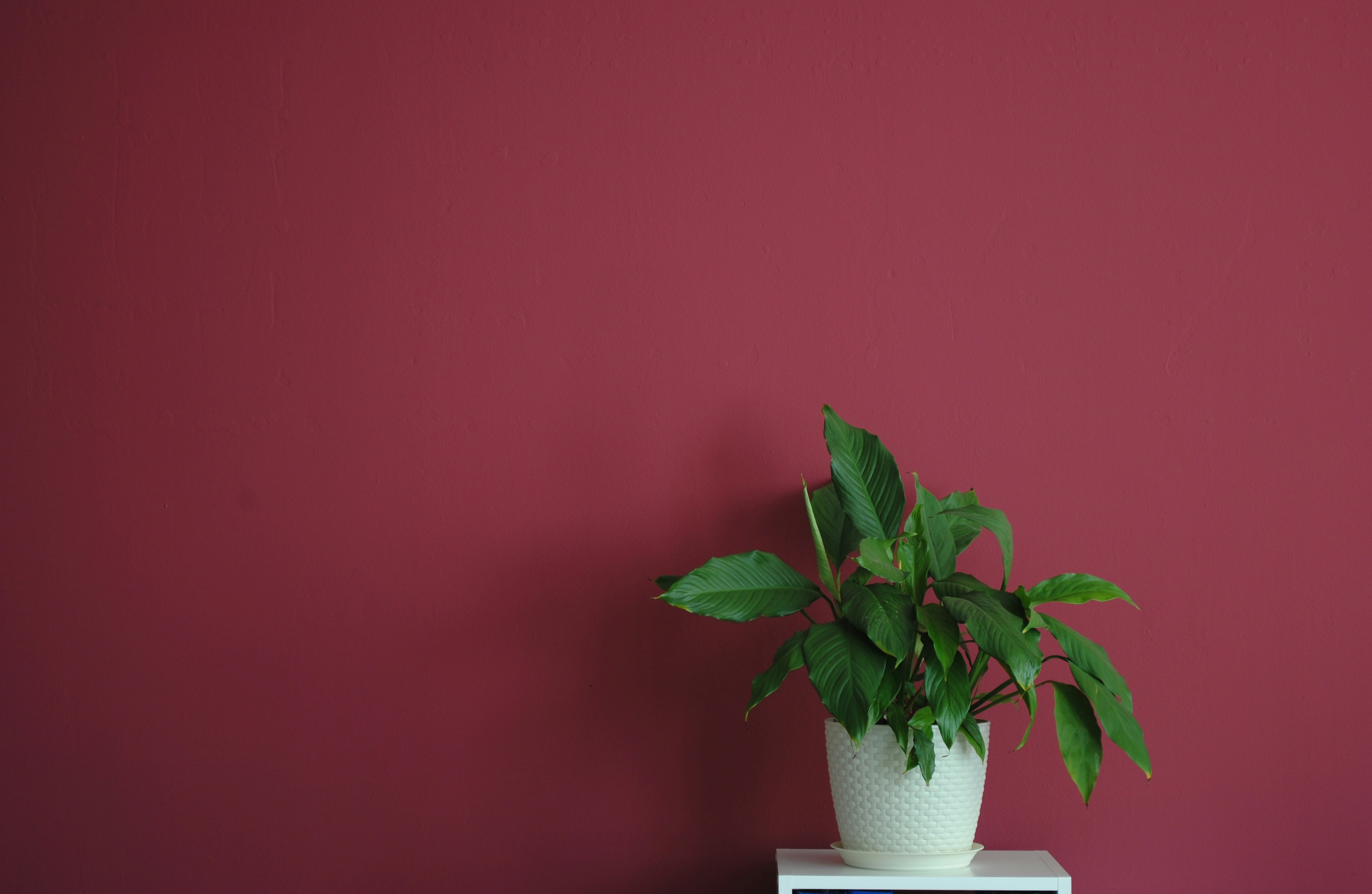 Photo by dakakygodno