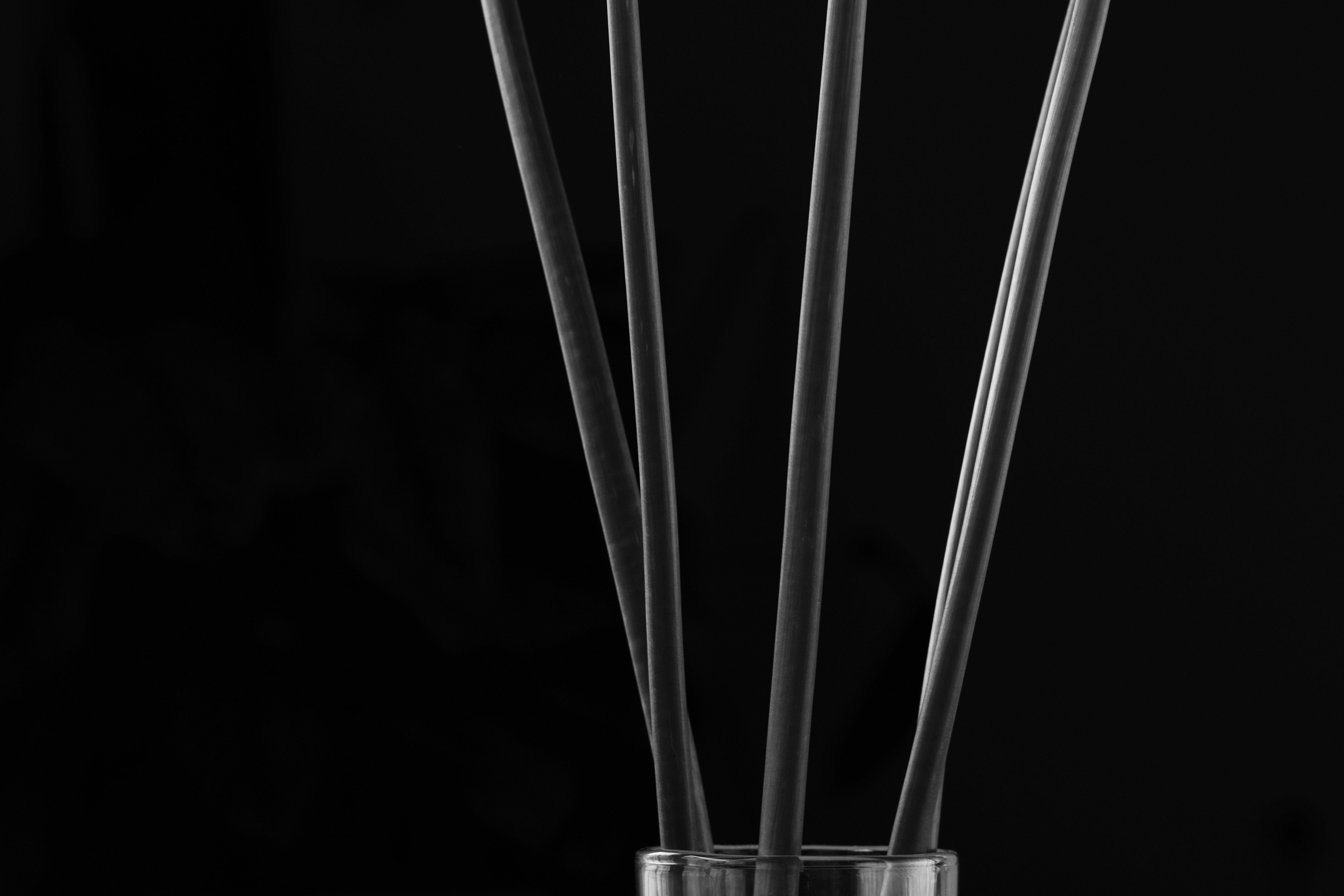 Reed diffuser sticks