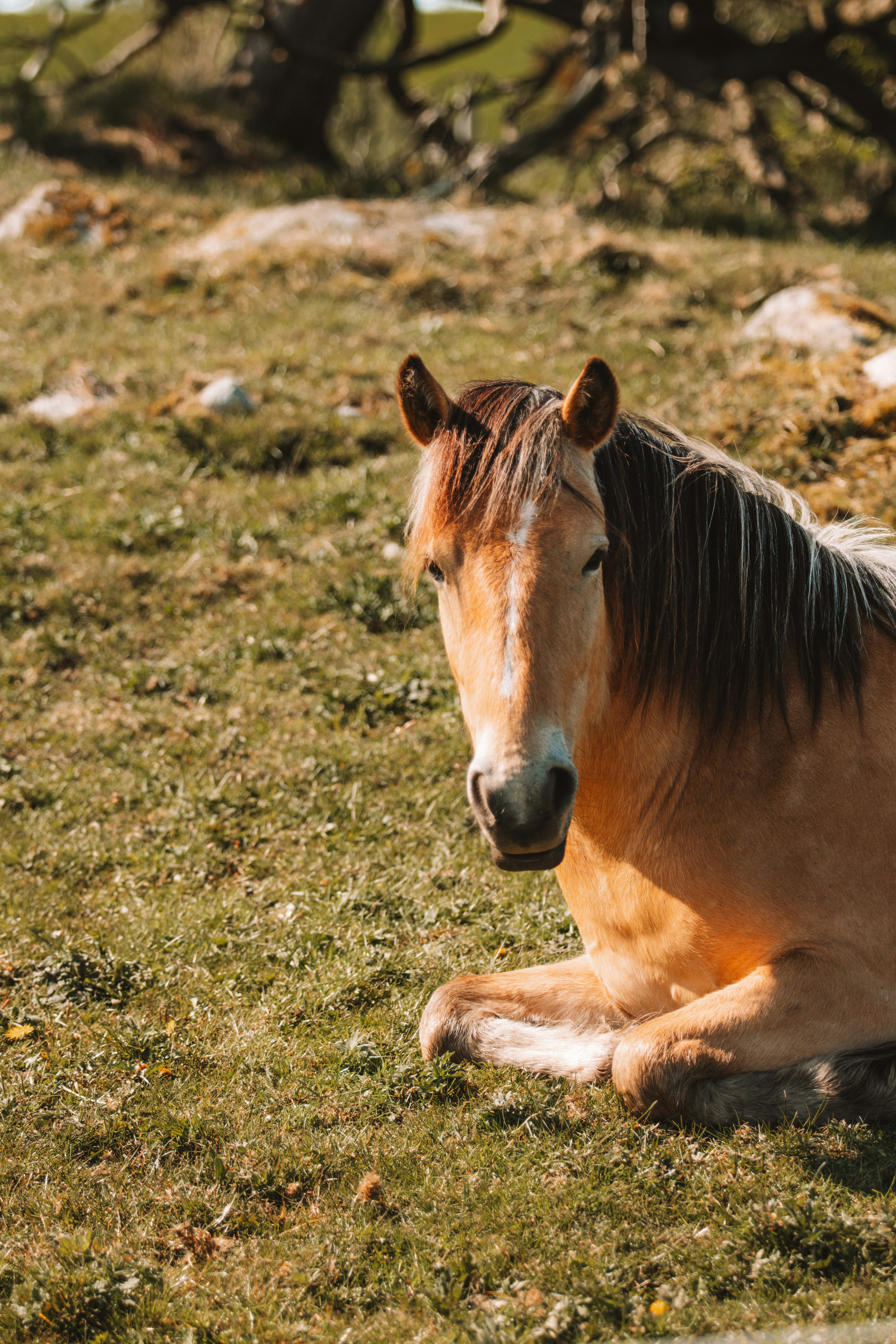 Photo by ingridmartinussen