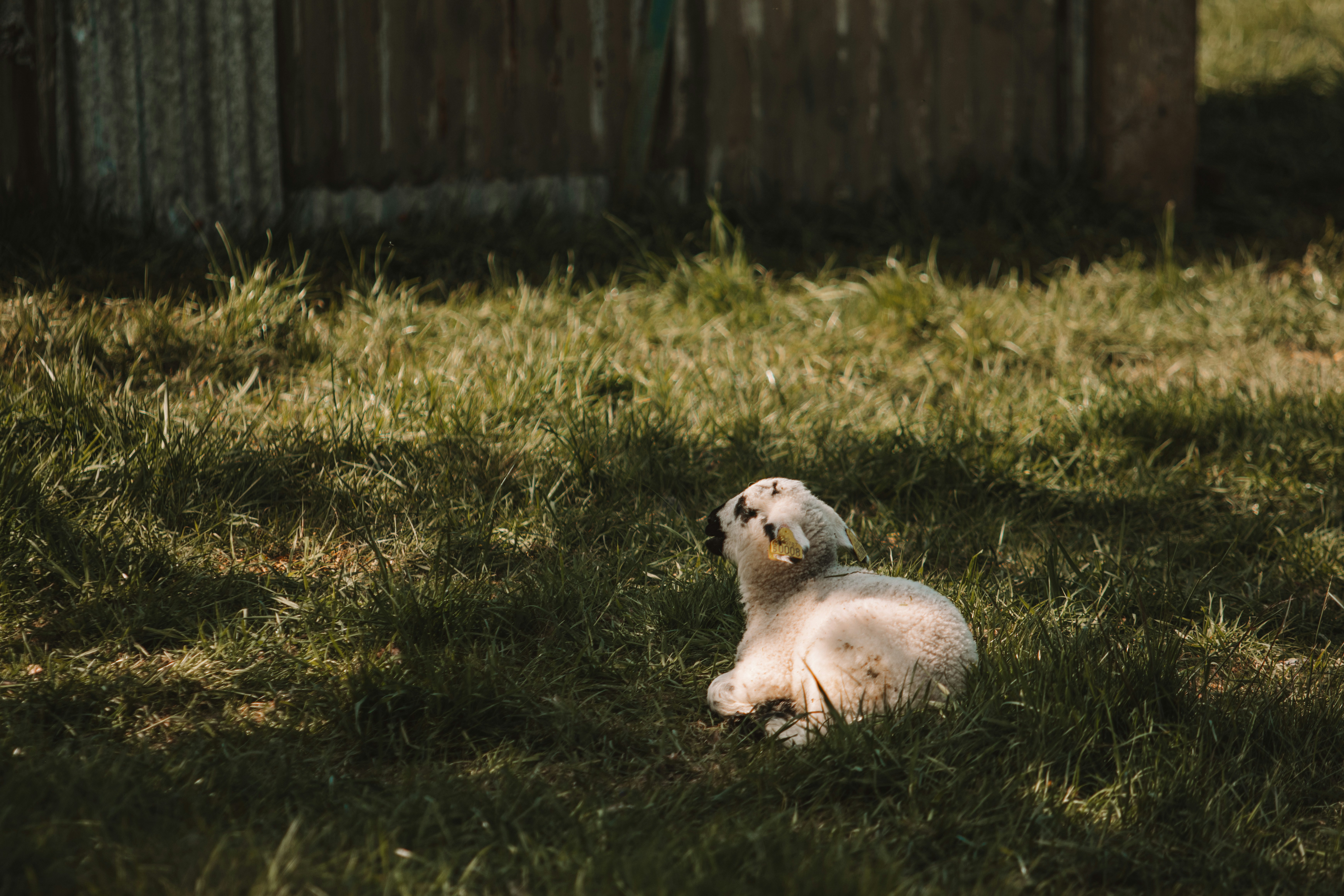 Photo by ingridmartinussen