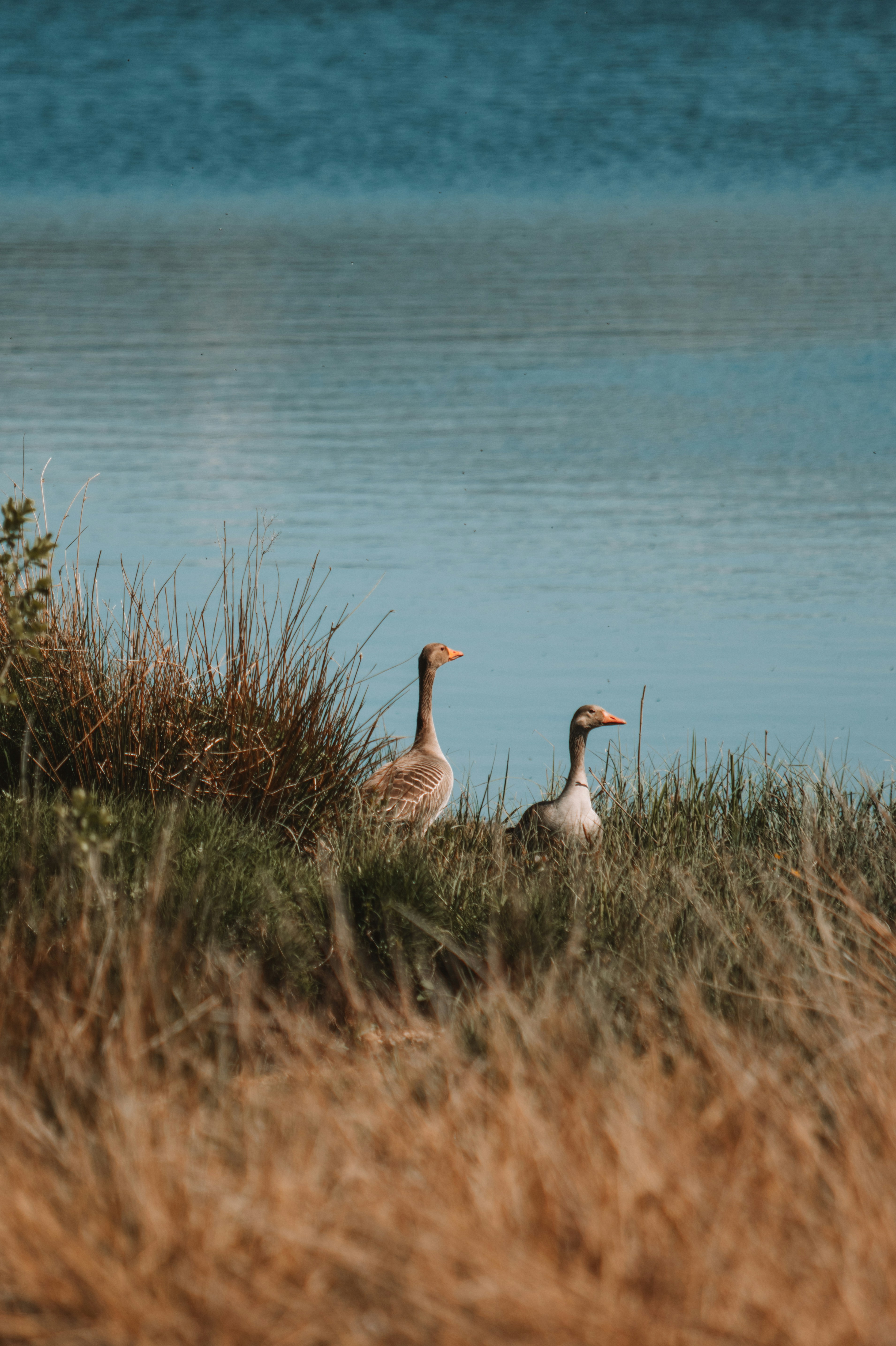 Photo by ingridmartinussen