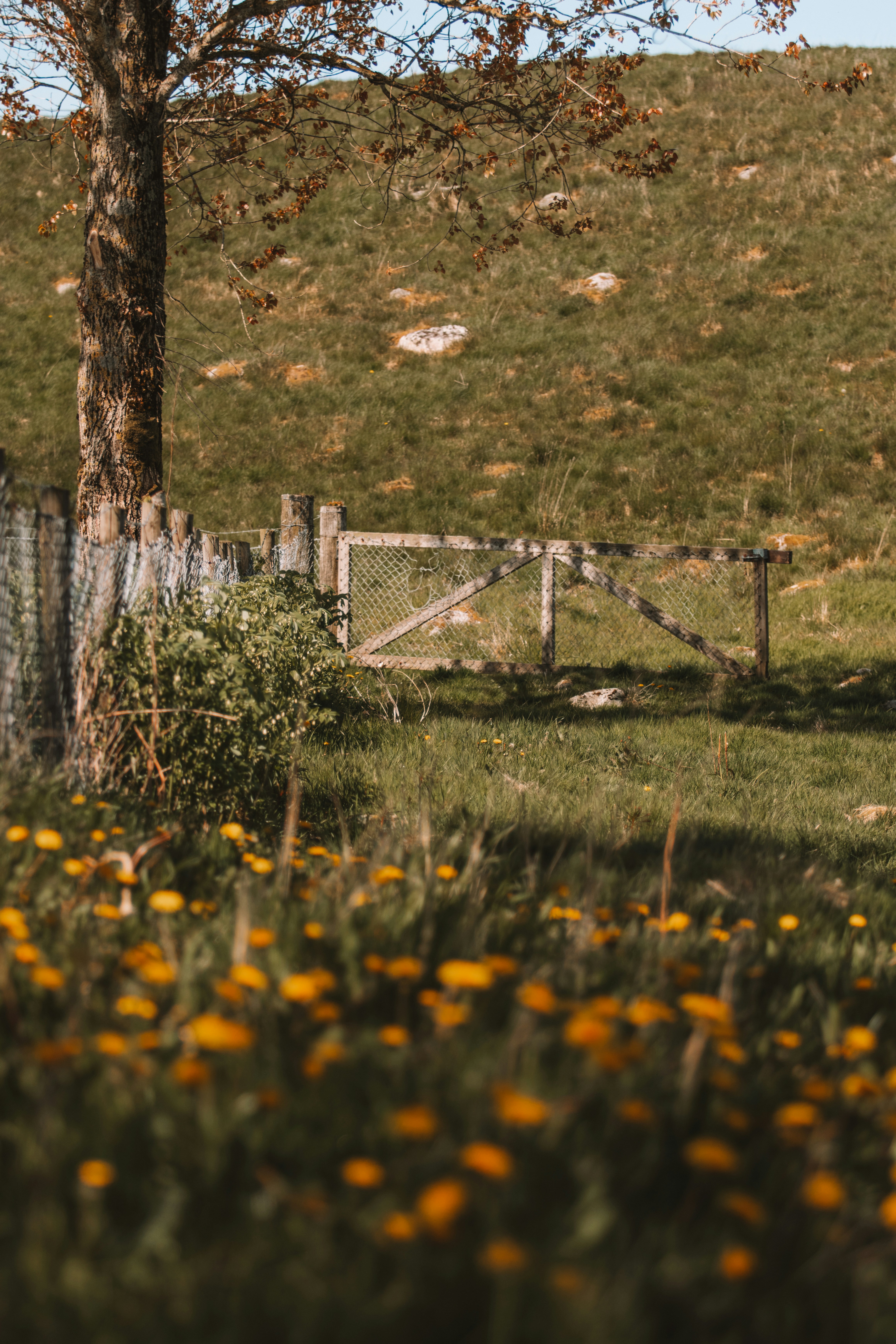 Photo by ingridmartinussen