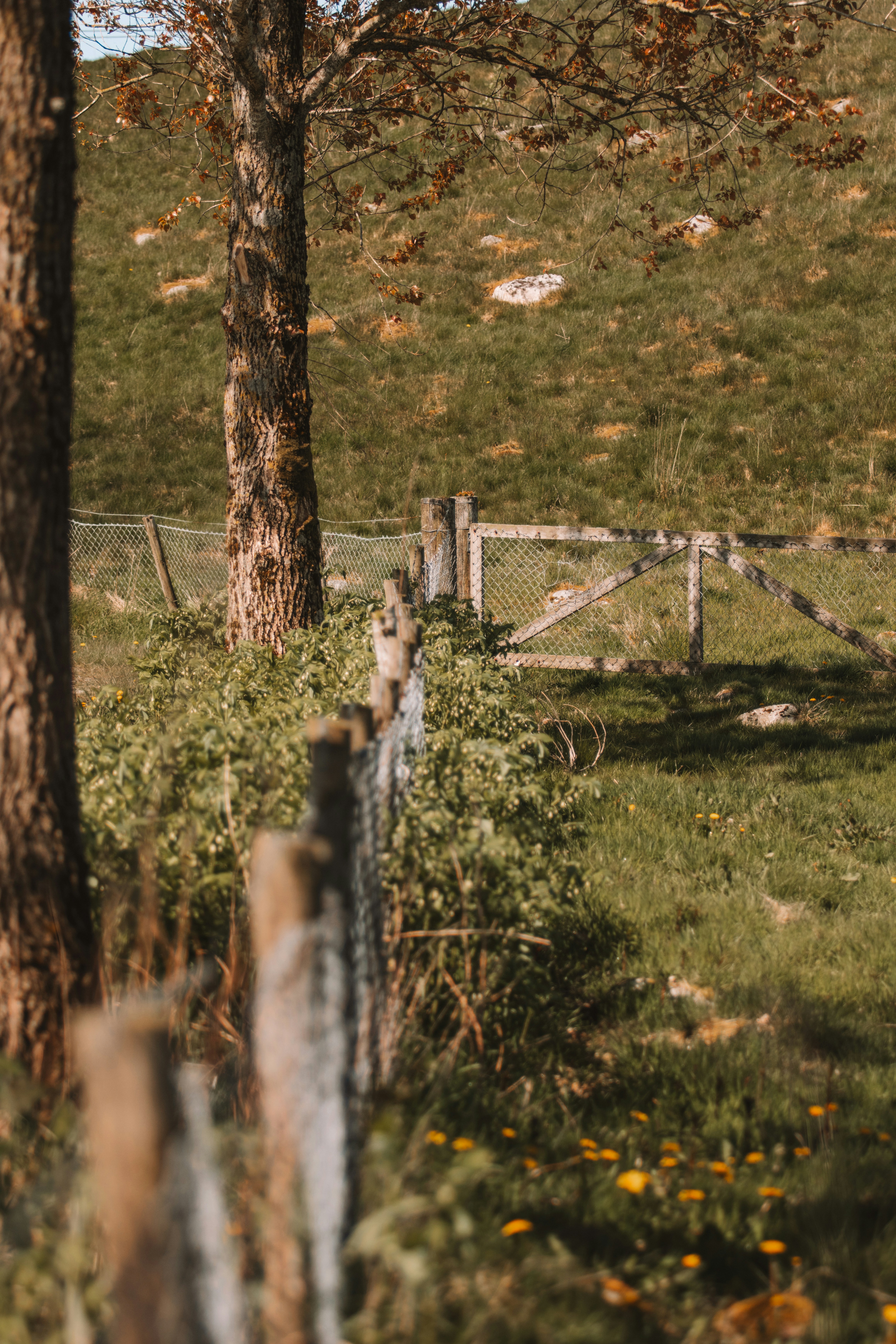 Photo by ingridmartinussen