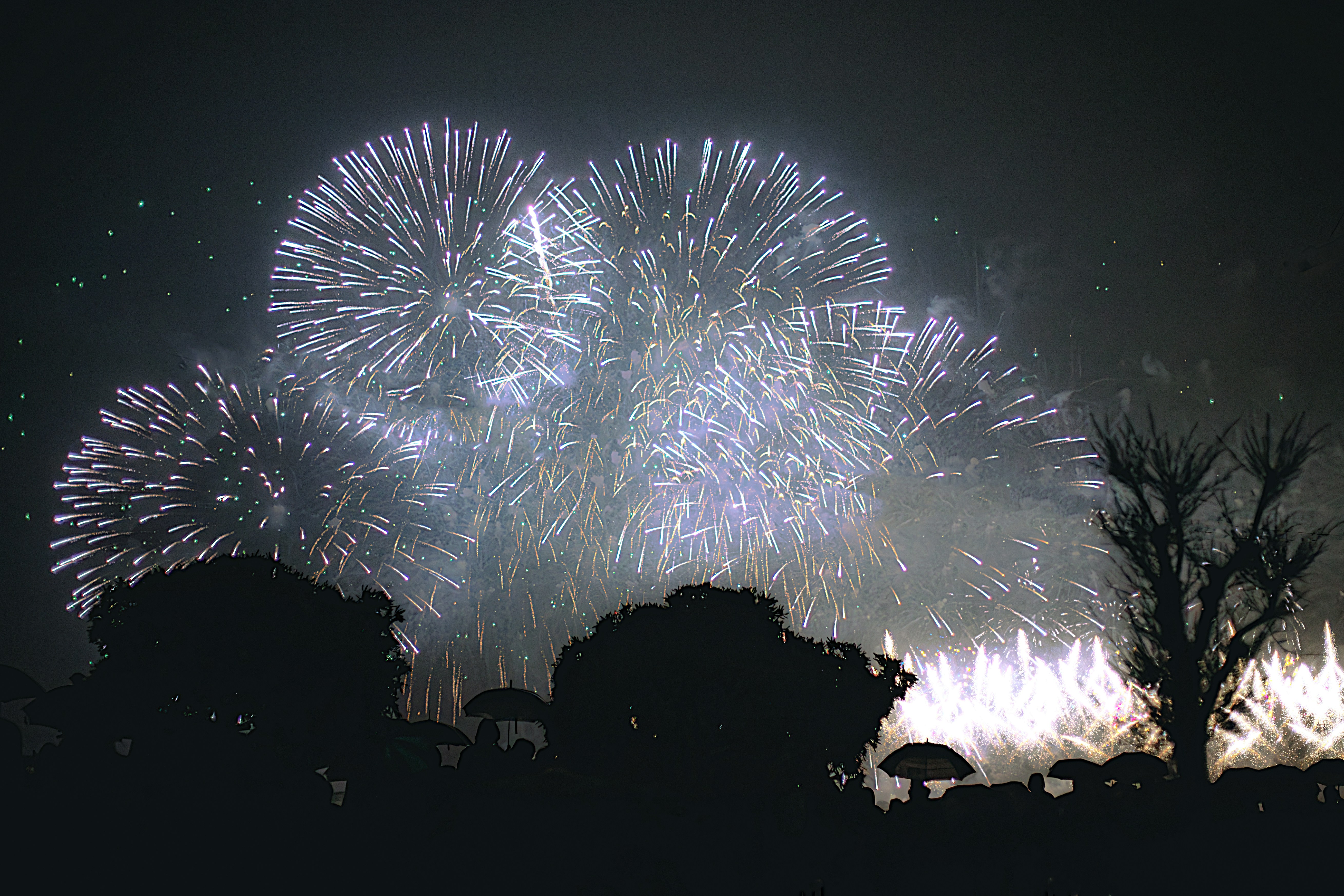 Photo by arizonanthony