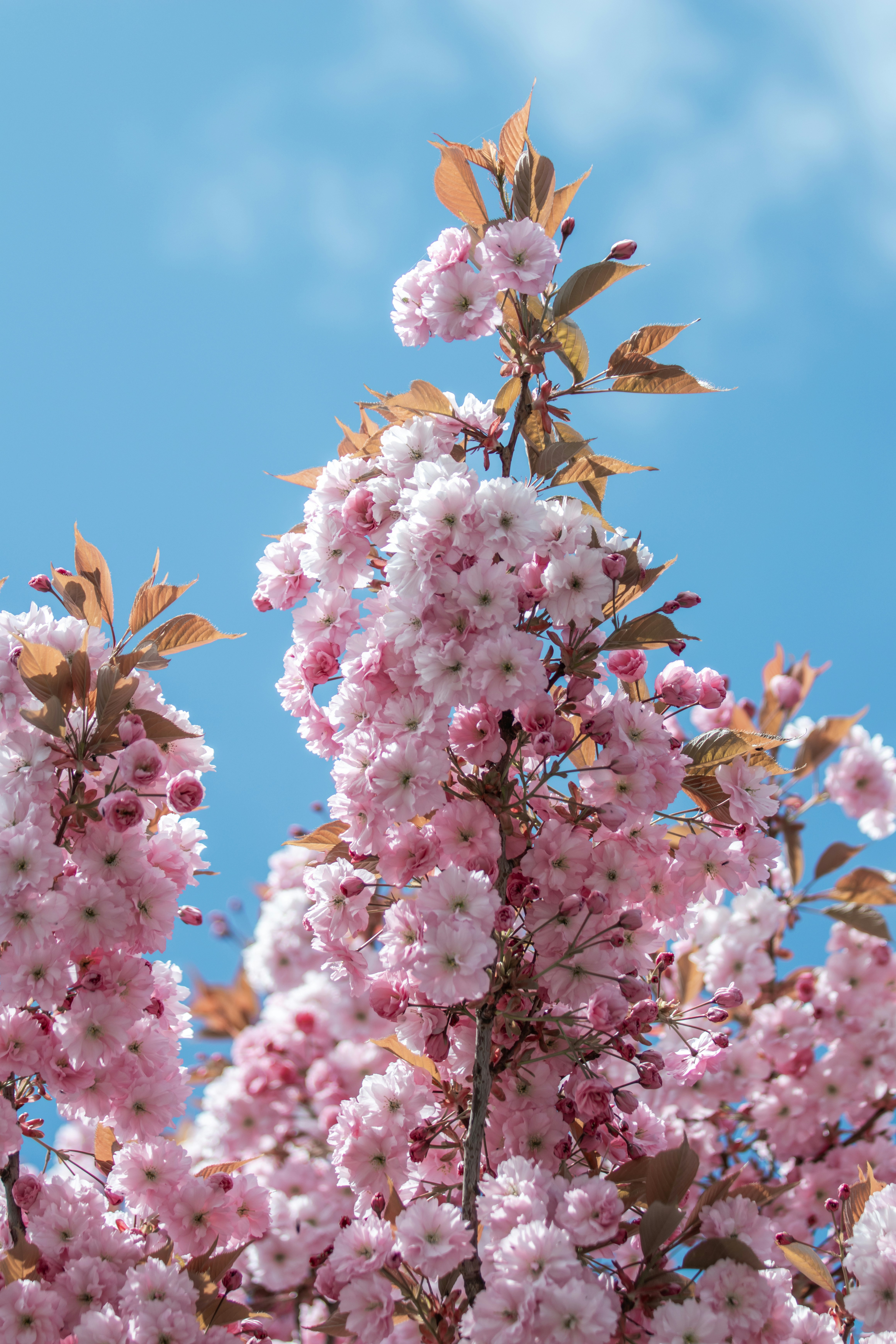 Photo by ingridmartinussen