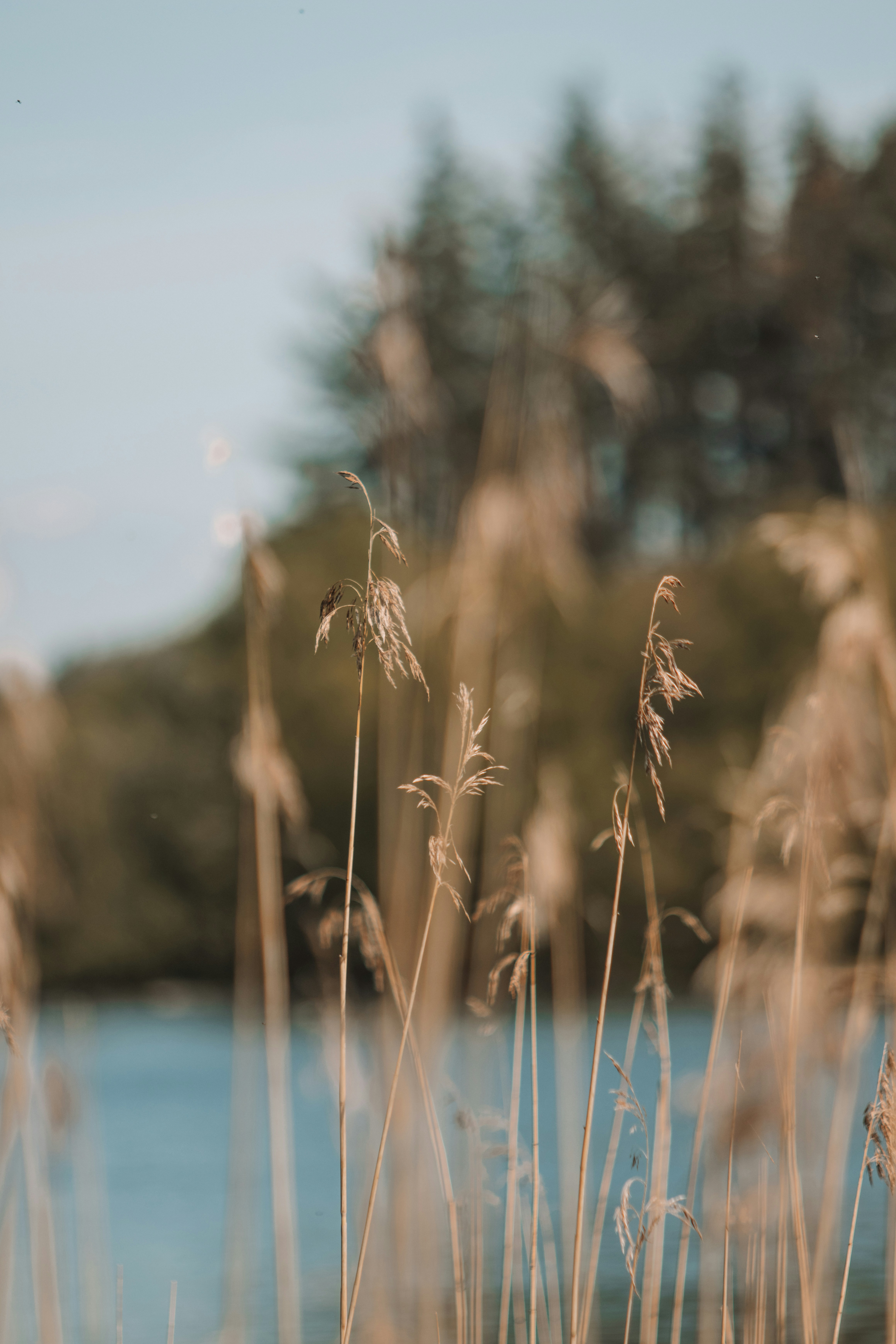 Photo by ingridmartinussen