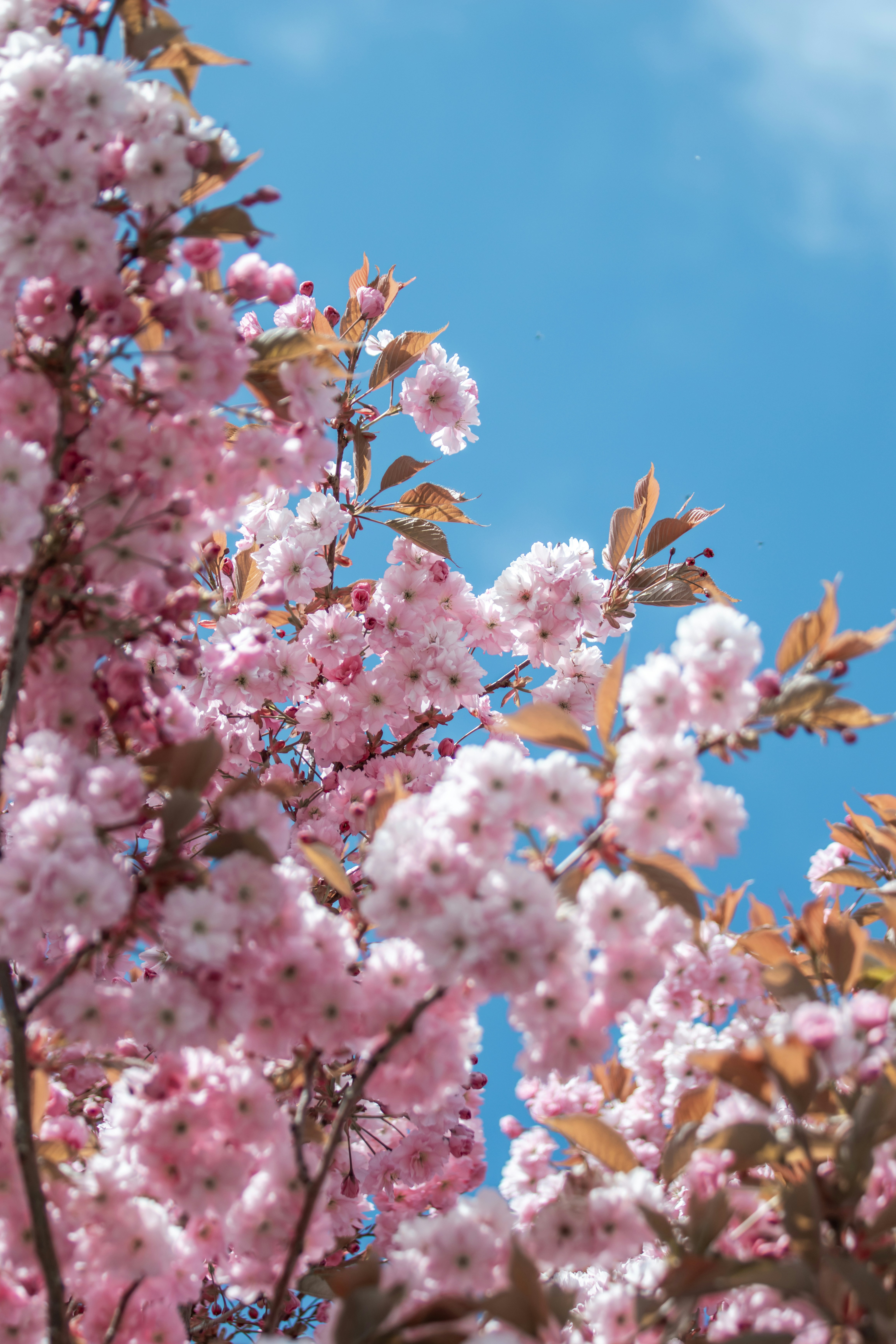 Photo by ingridmartinussen