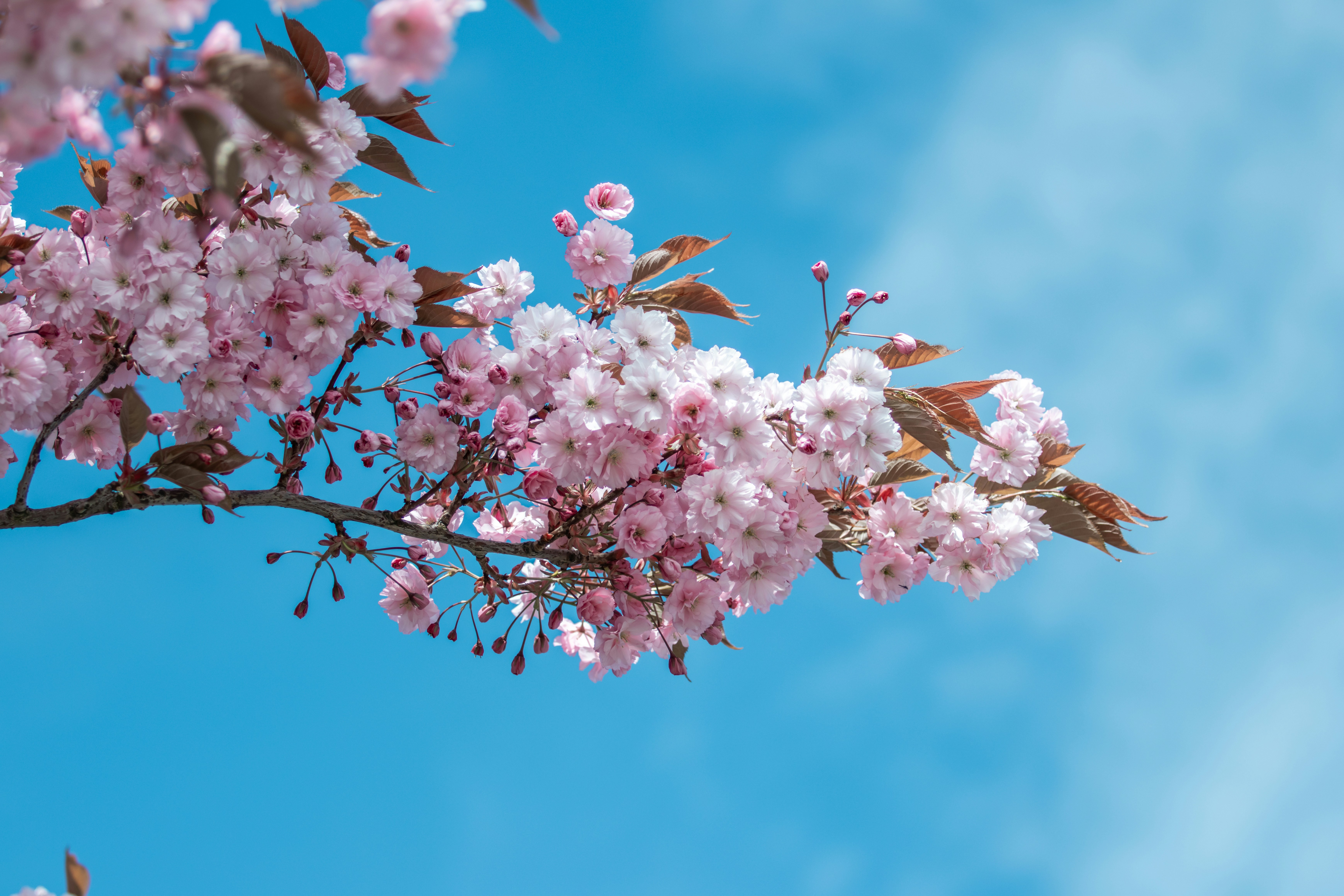 Photo by ingridmartinussen