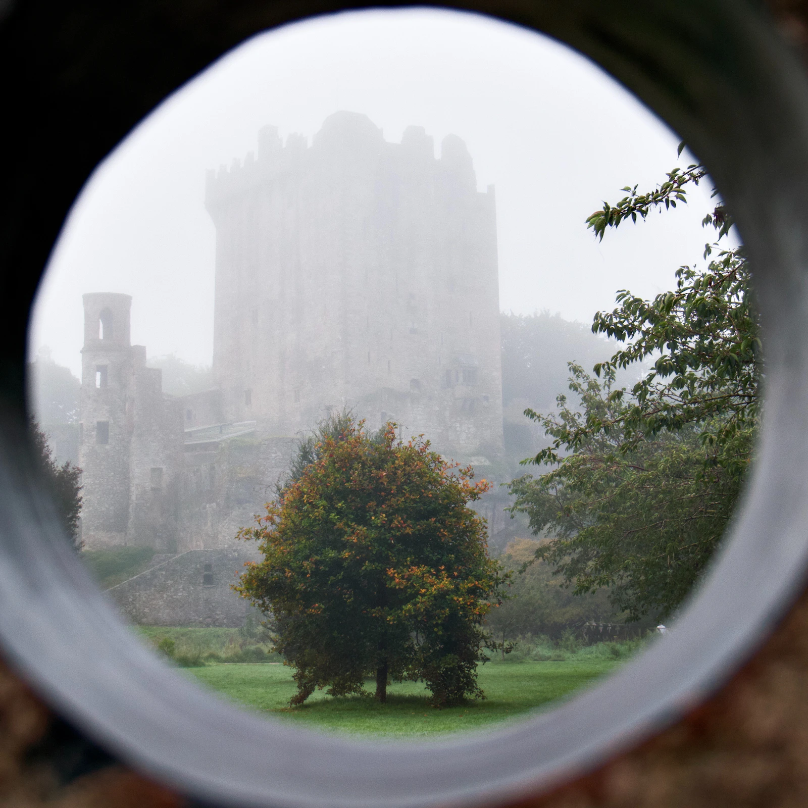 A misty historic castle seen through a circular stone opening, with trees and a grassy lawn in the foreground and no people in the frame, a real free-to-use photo chosen for the medieval-fantasy mood of The Witcher. It is not a still from the series and it does not show the cast