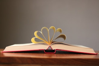 Opened book with its pages curled upwards.