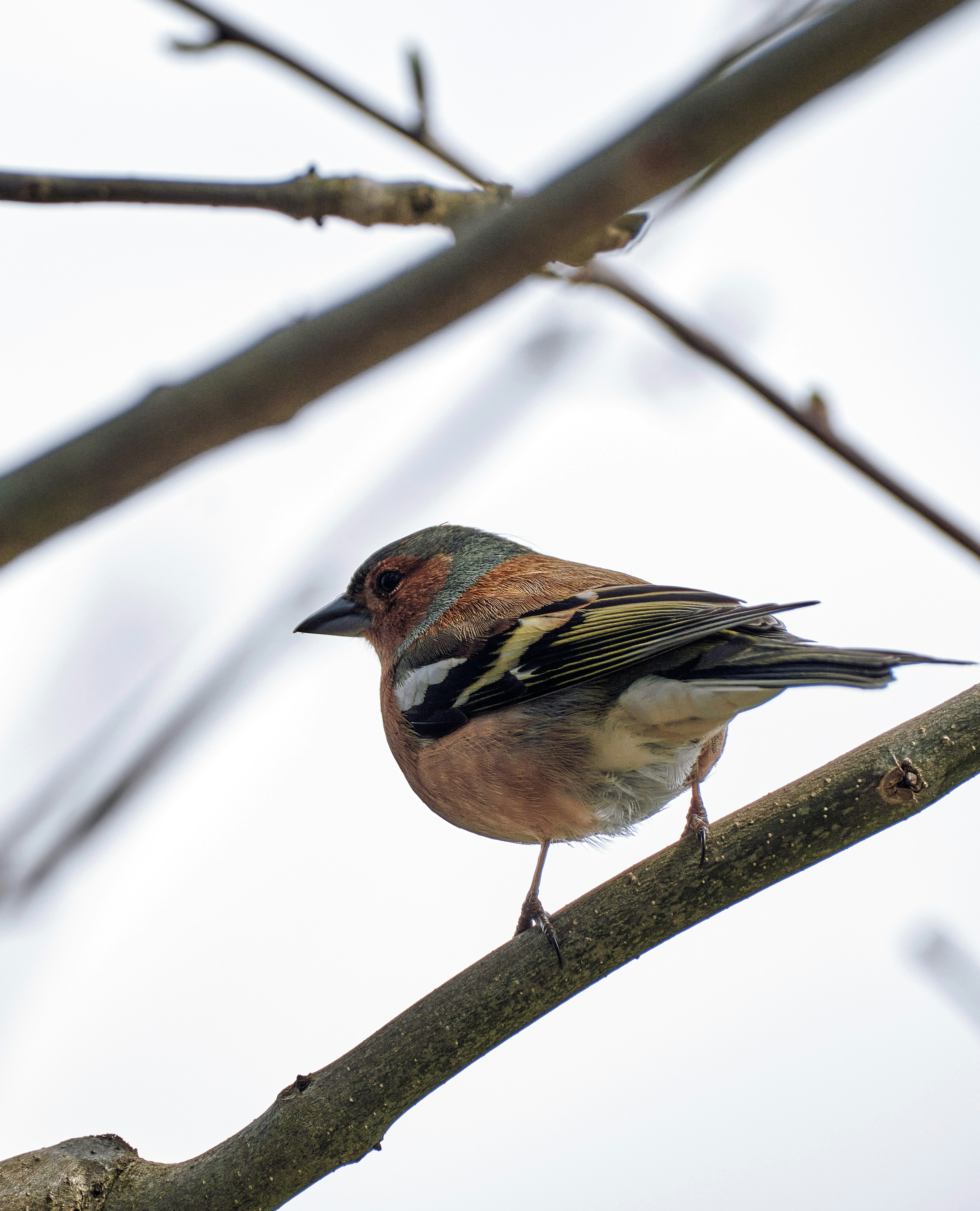 Photo by marcus_ganahl