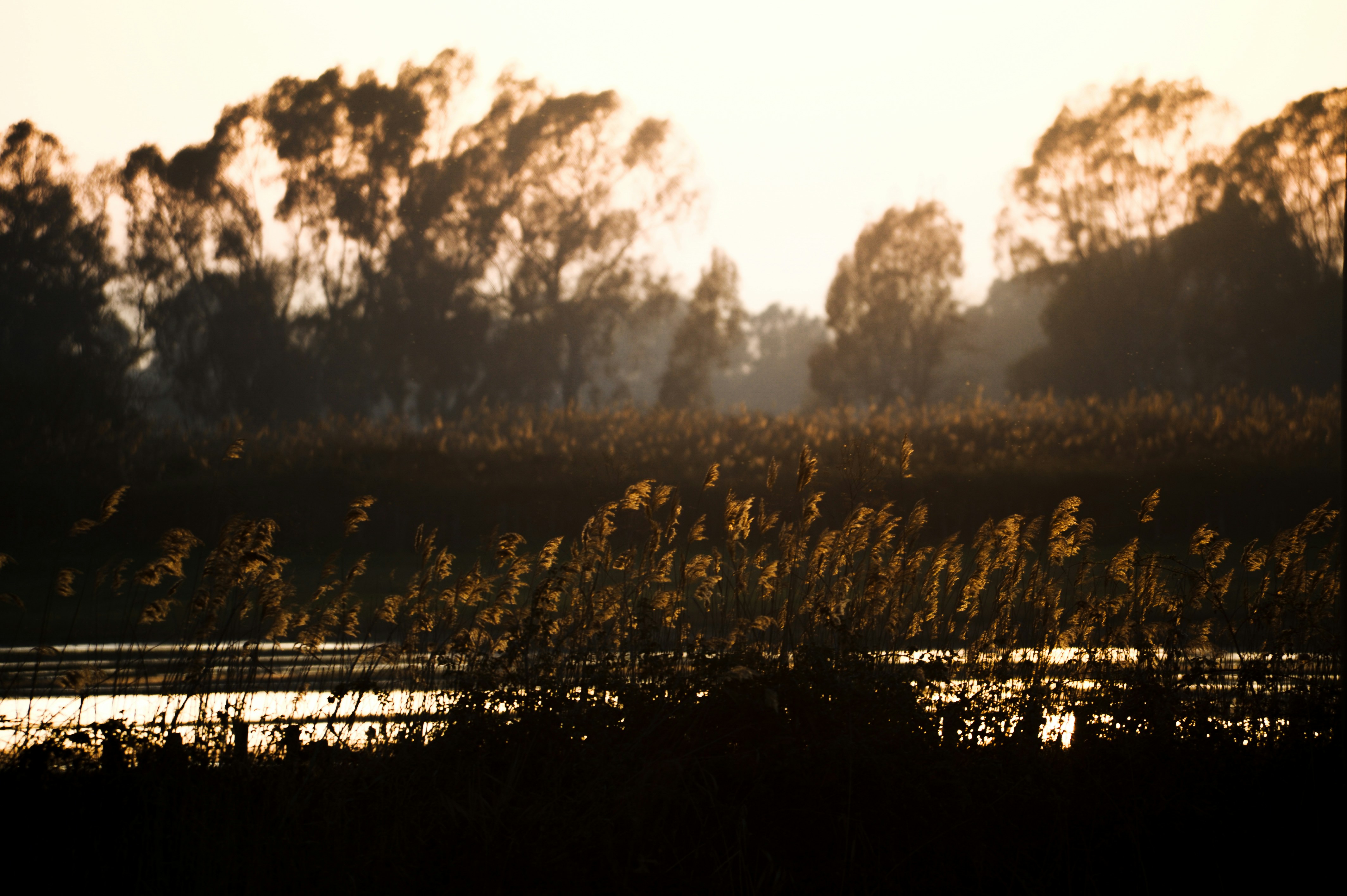 Photo by lucaakalu