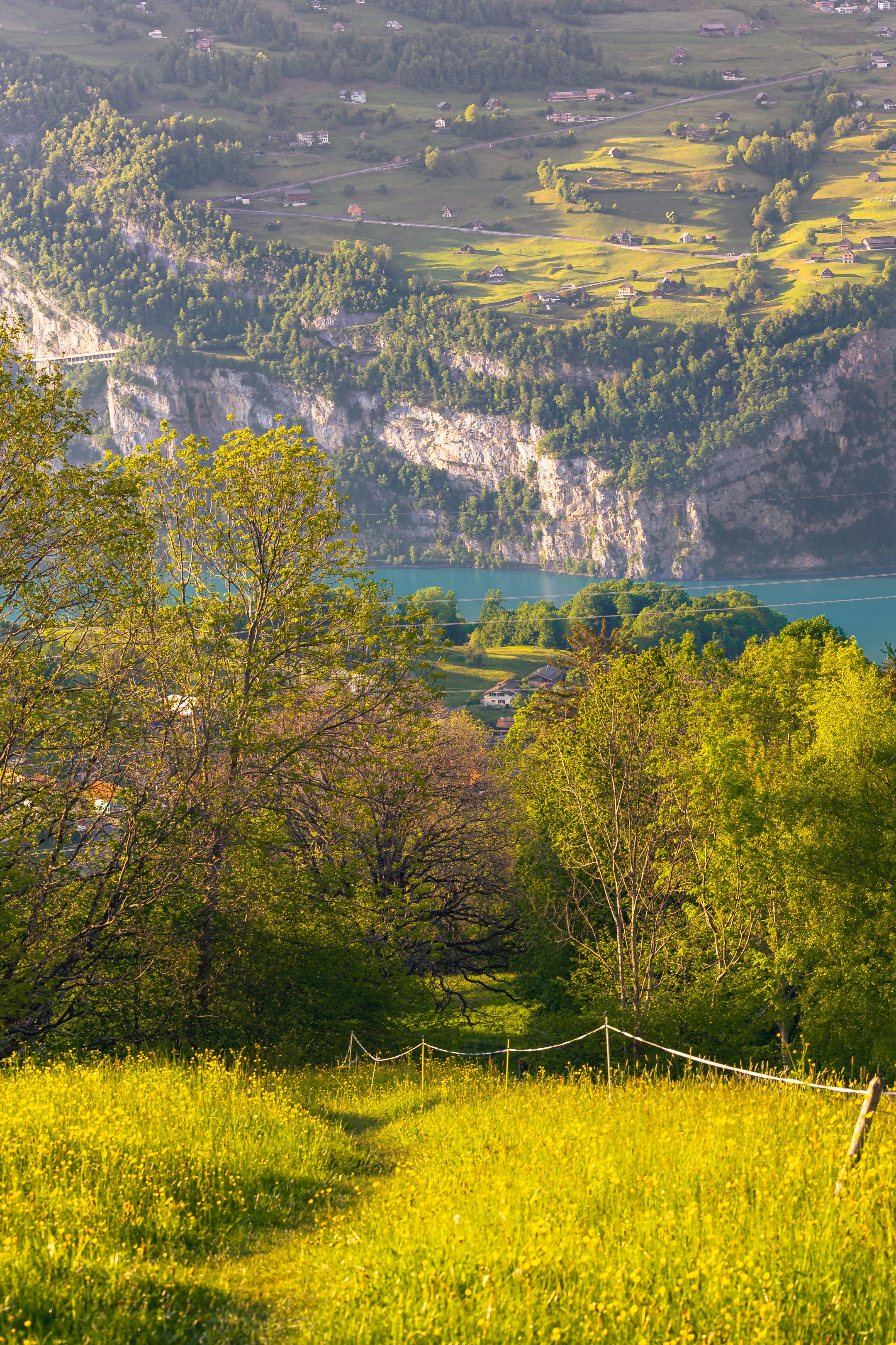 Scenic view of lush fields, trees, and lake.