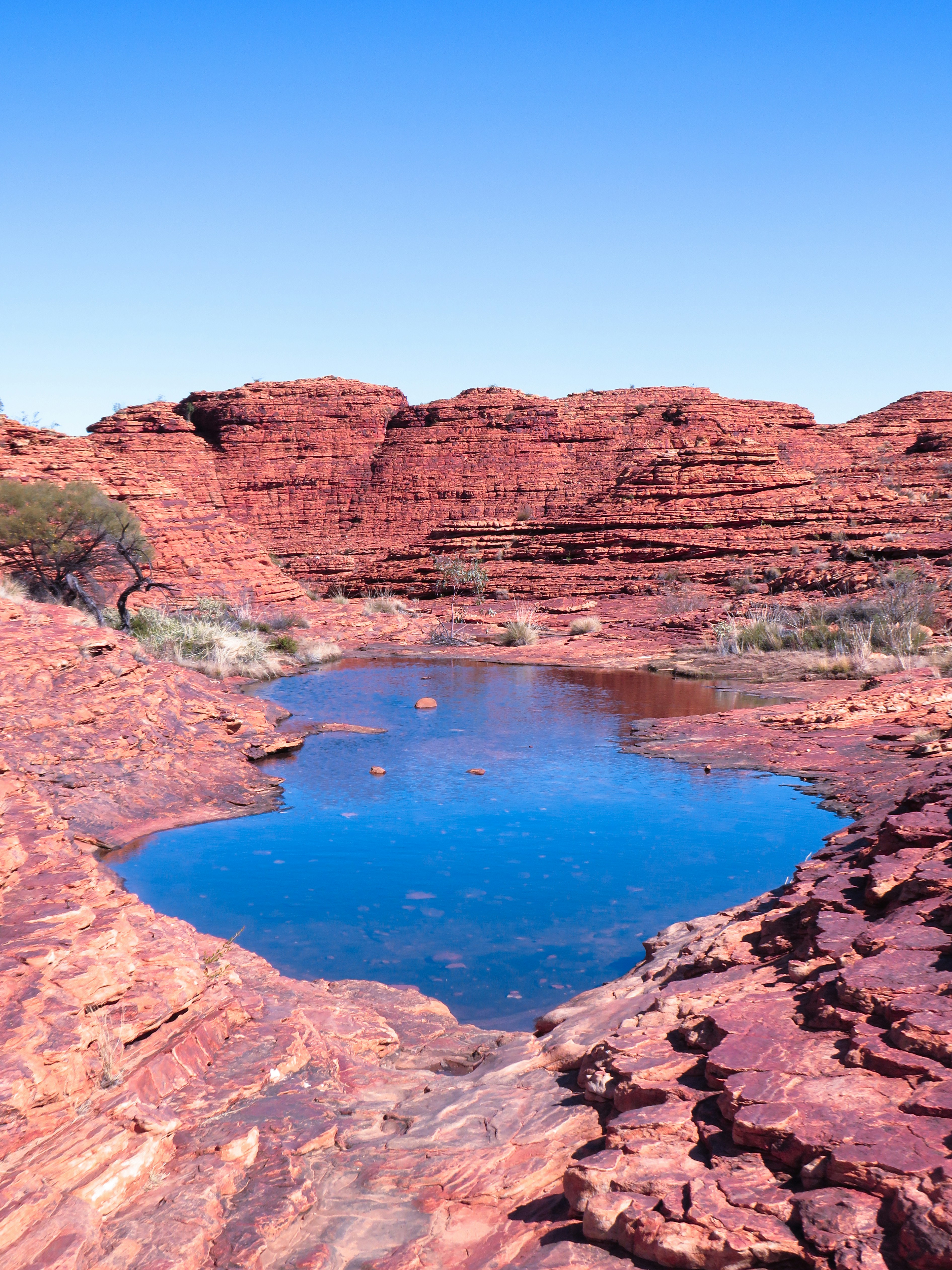 Photo by davidomeara