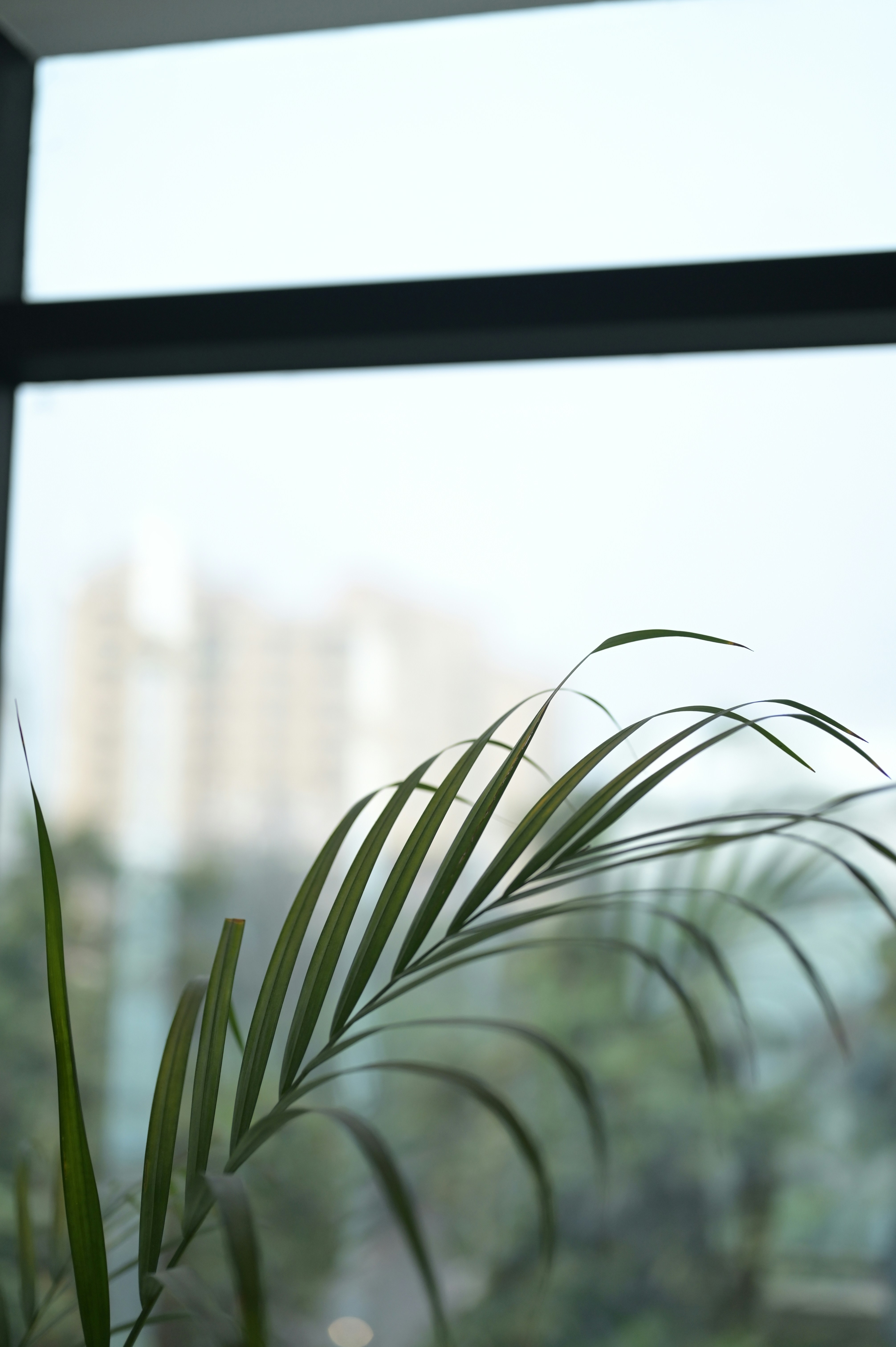 Photo by rangernotch