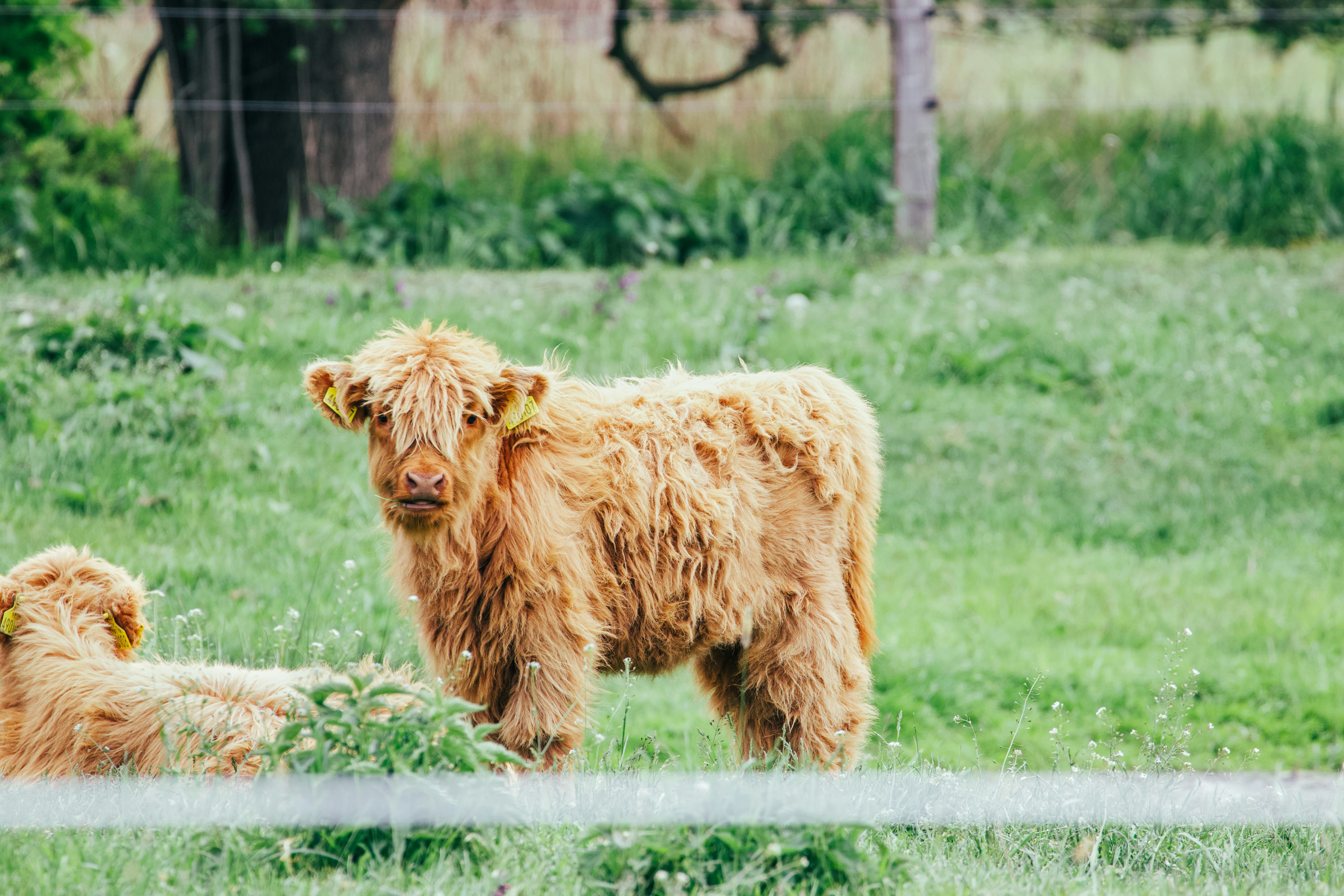 Photo by jakub_neskora