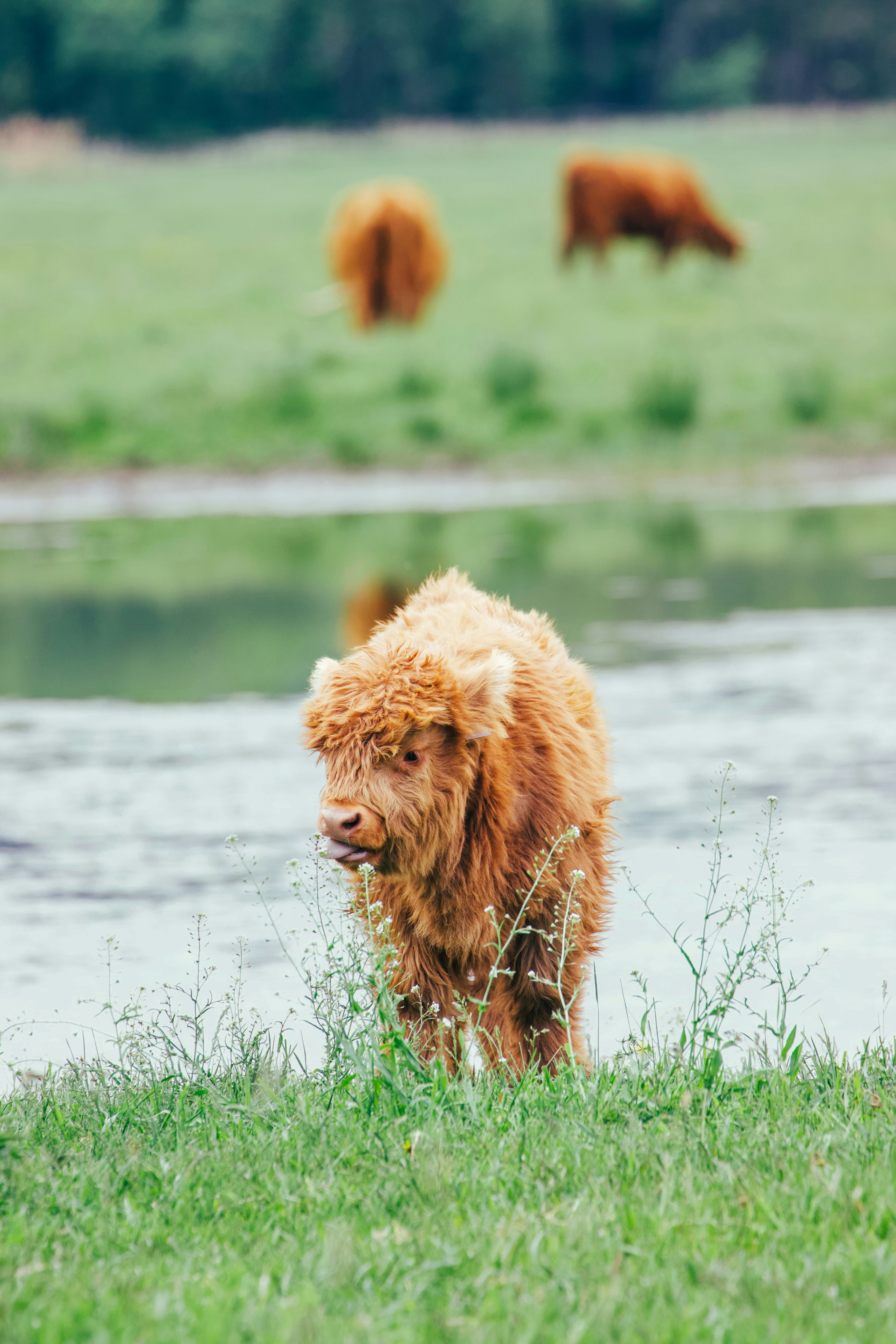 Photo by jakub_neskora