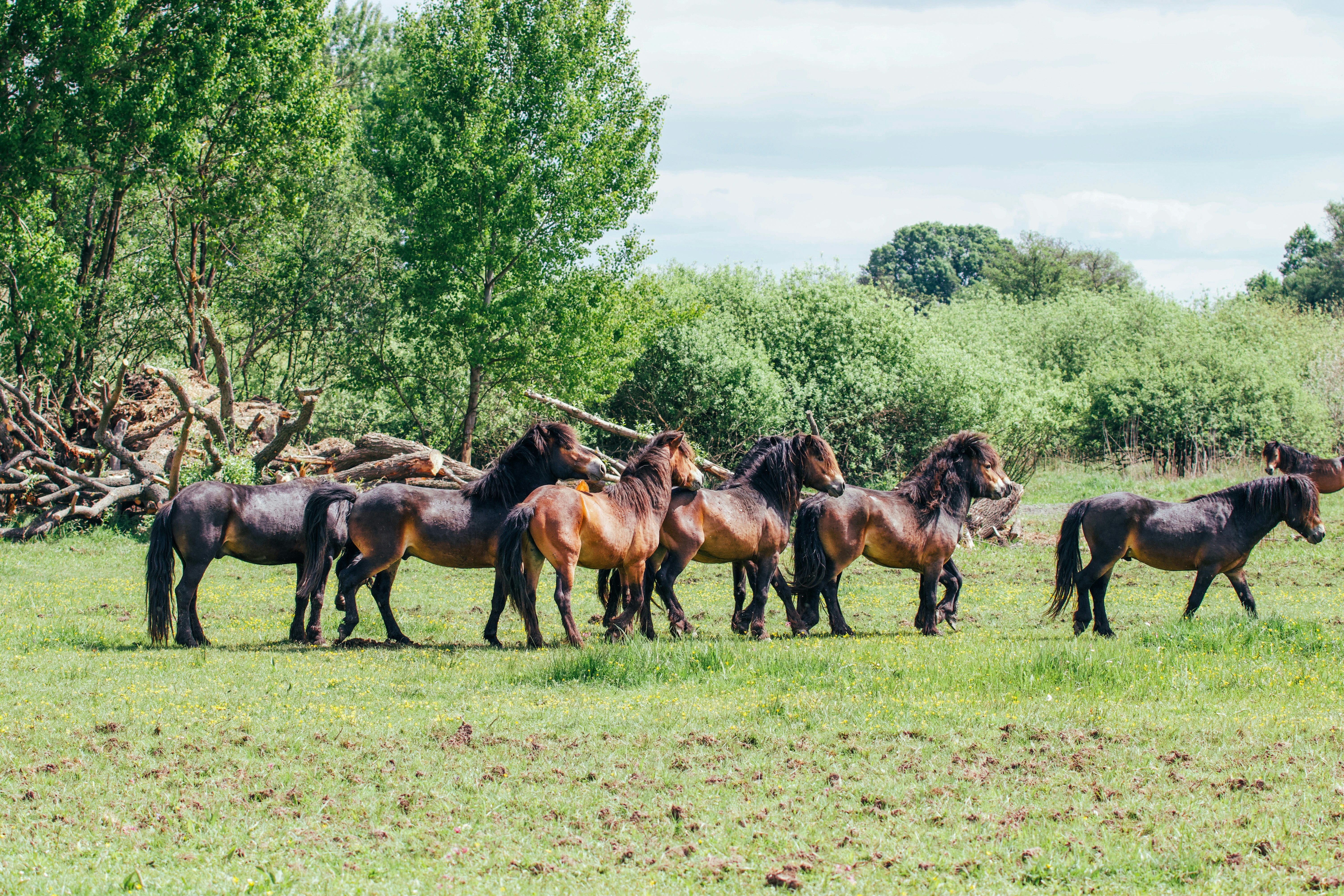 Photo by jakub_neskora