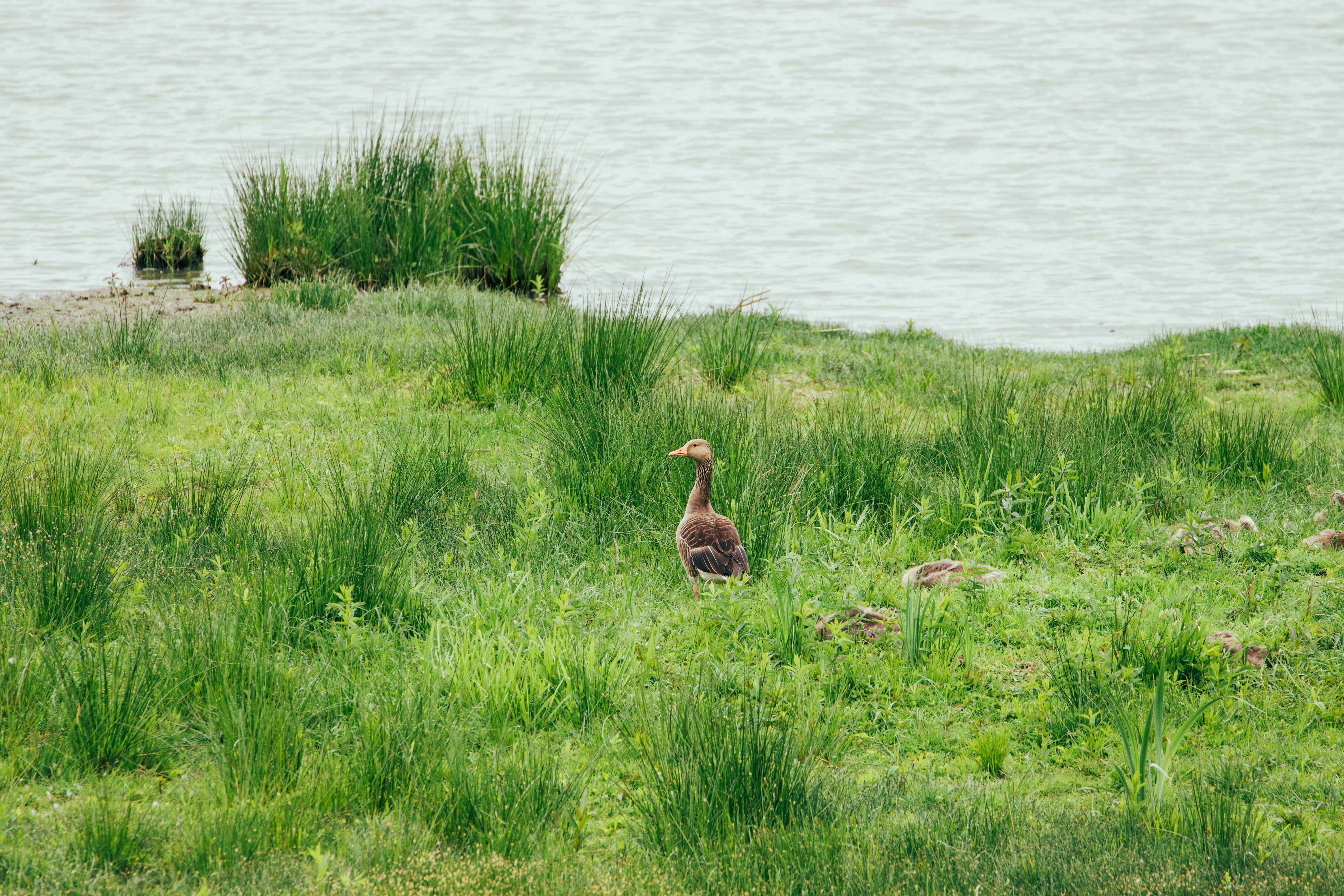 Photo by jakub_neskora