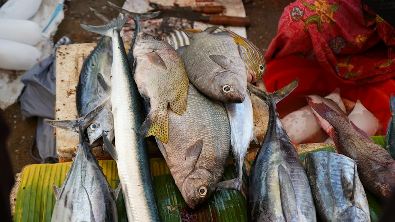 Fish Market