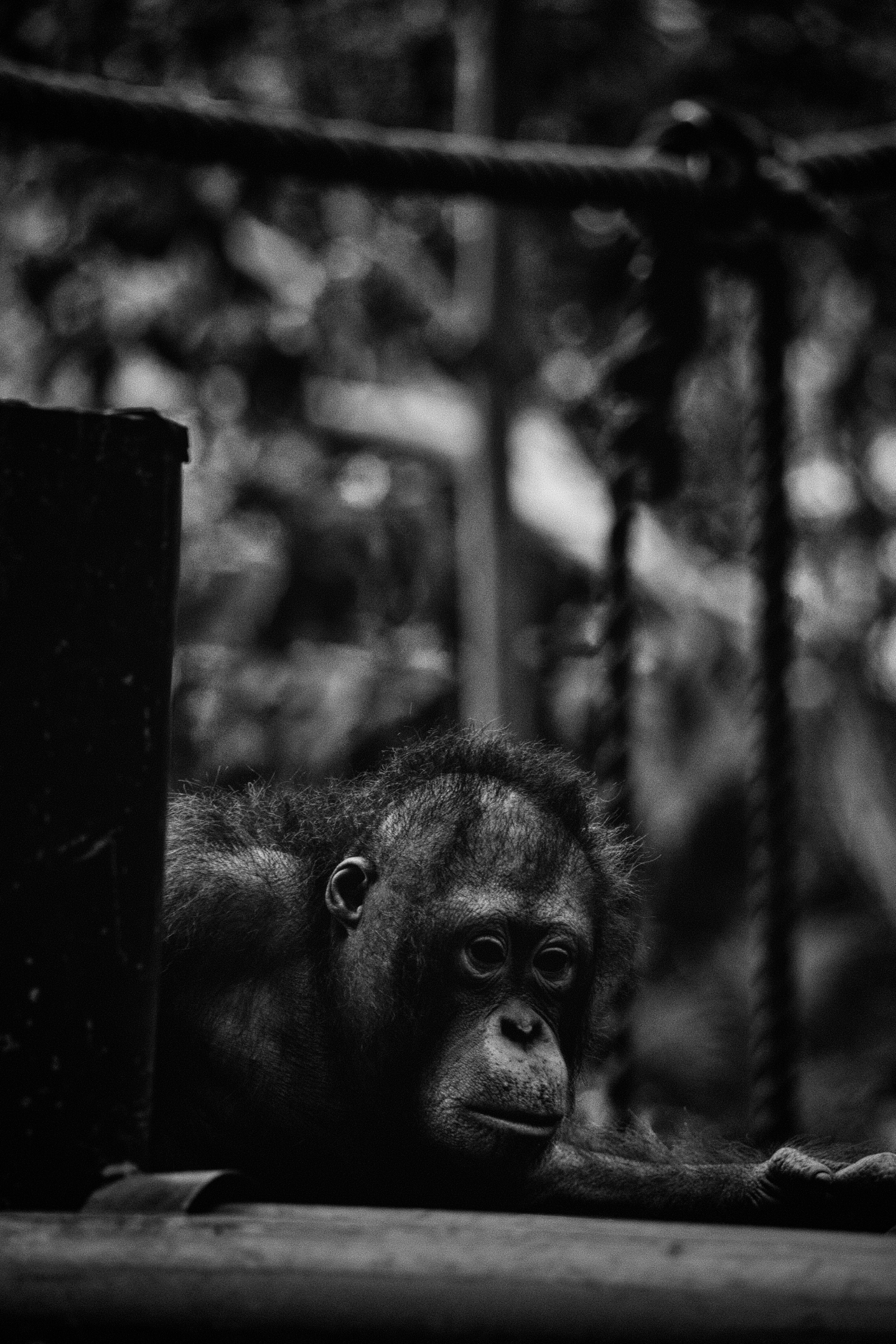 Photo by worldtravelwithjean