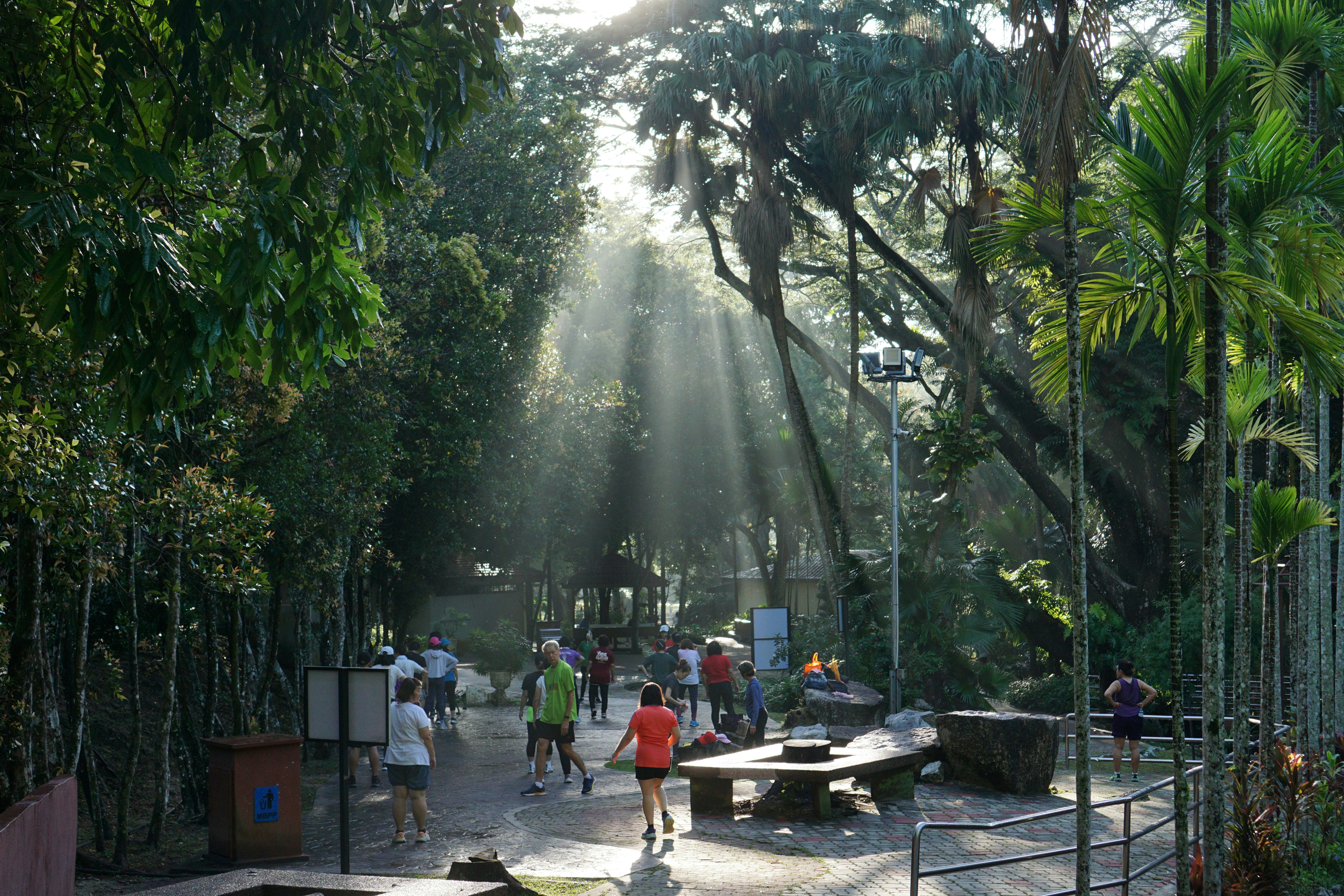 People jog on a path through a sun-dappled park., 