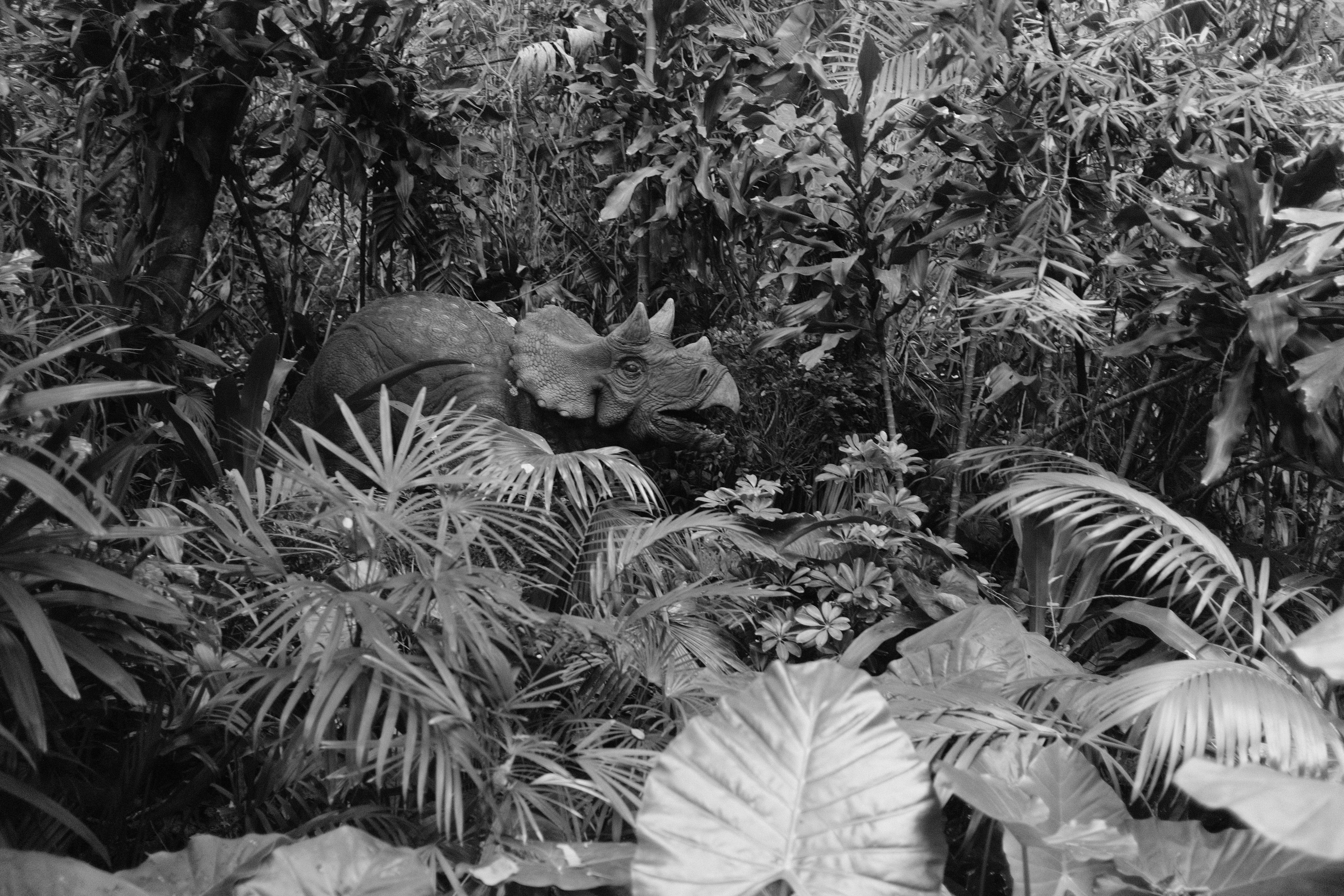 Photo by worldtravelwithjean