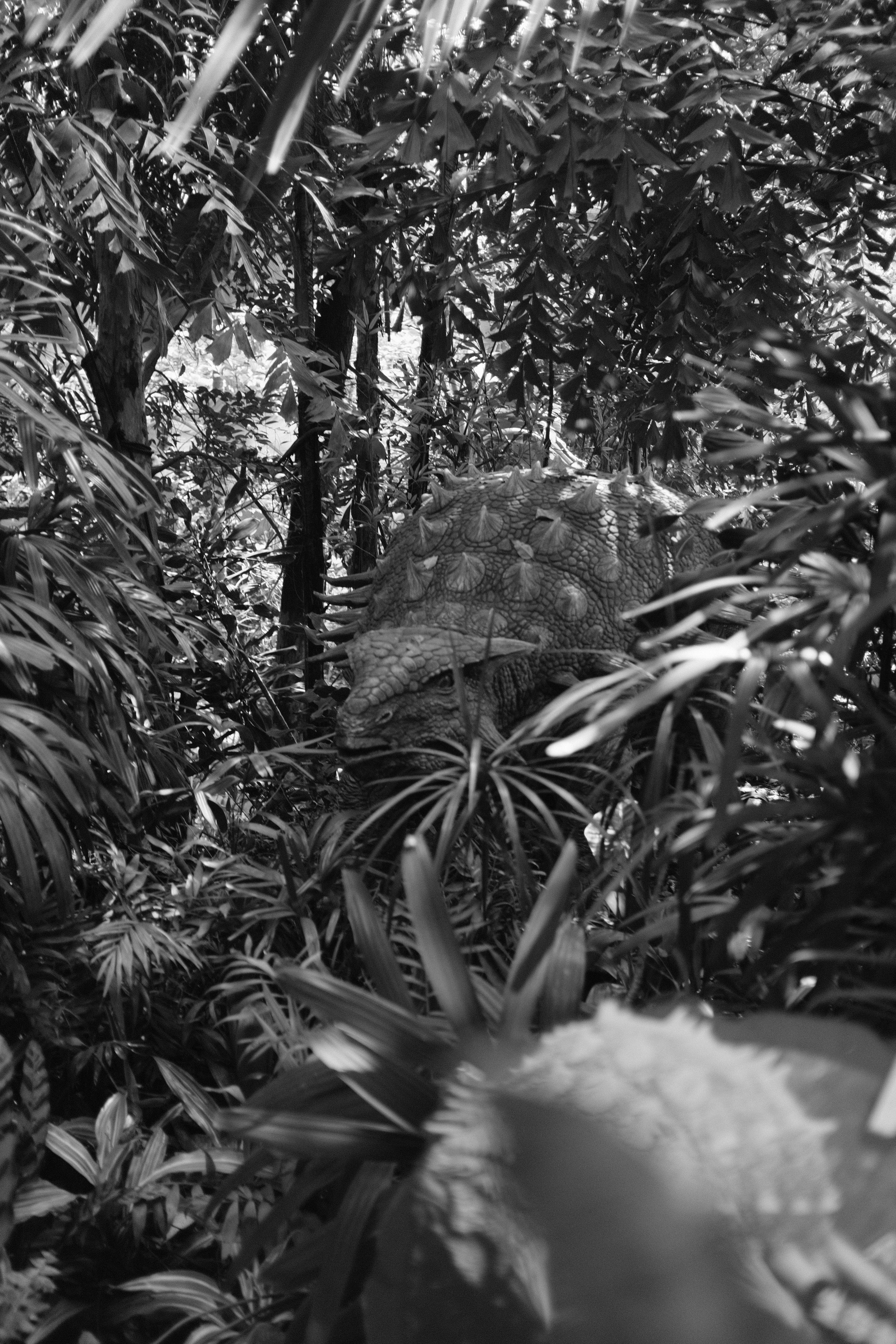 Photo by worldtravelwithjean