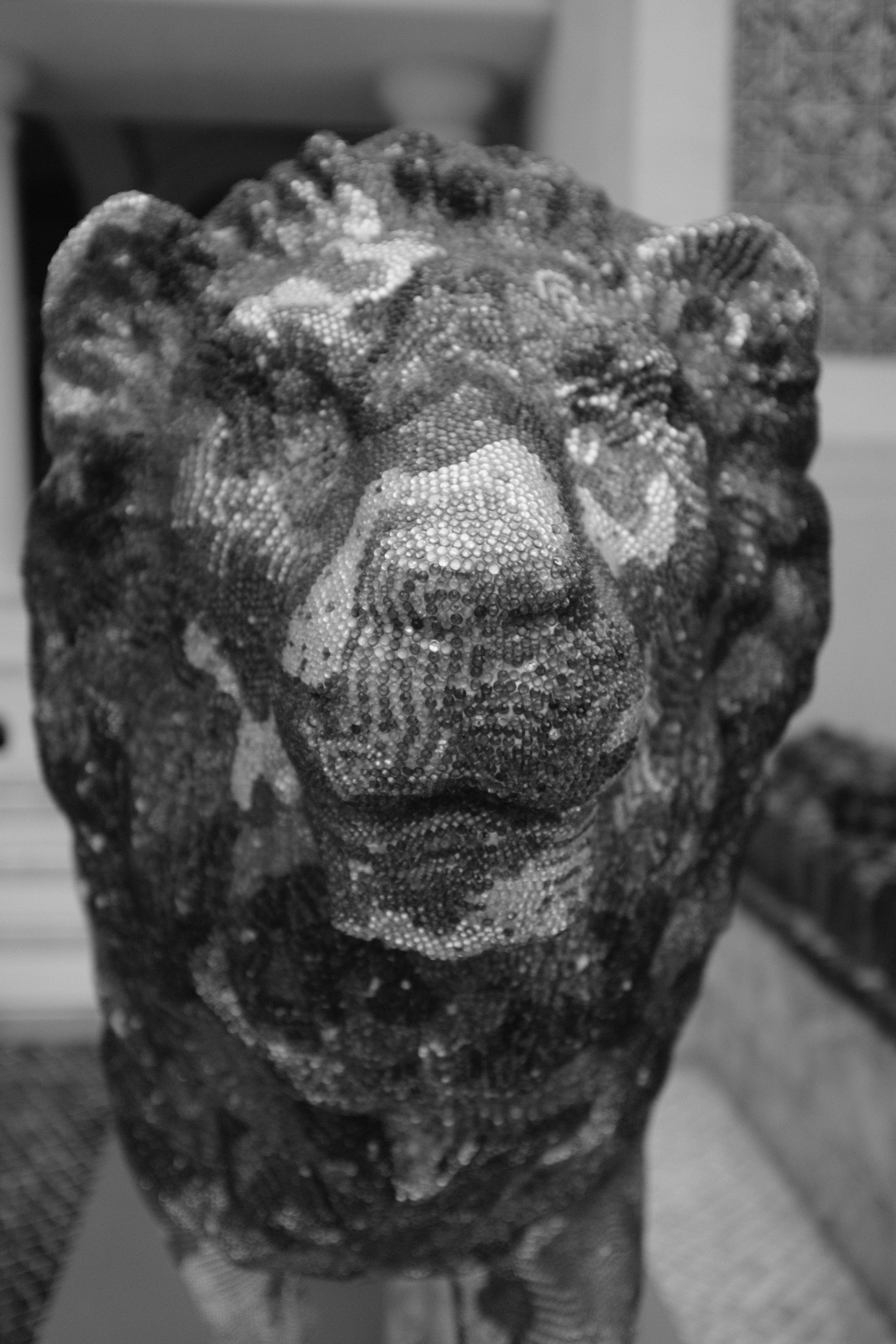 Photo by worldtravelwithjean