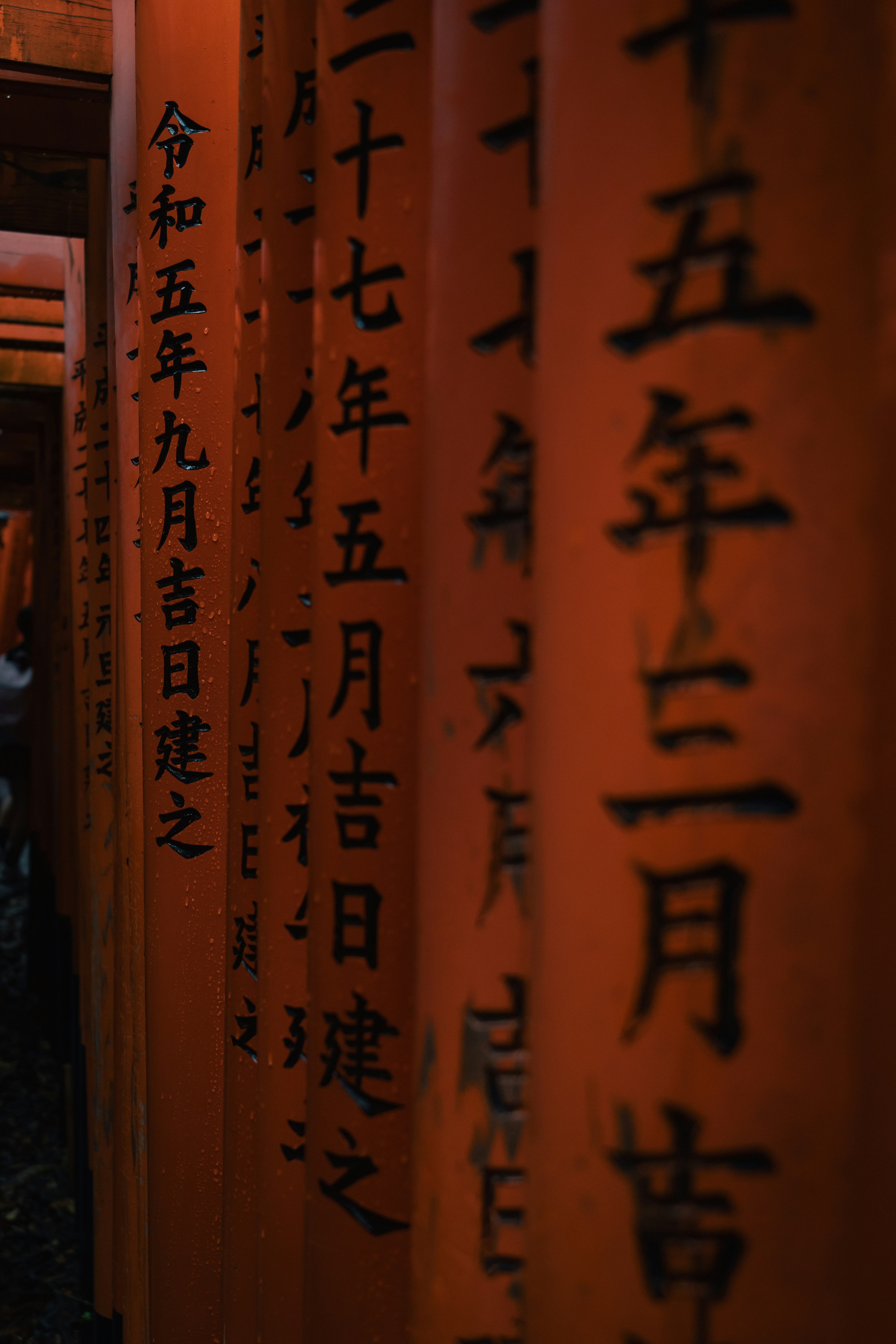 Photo by kliao12