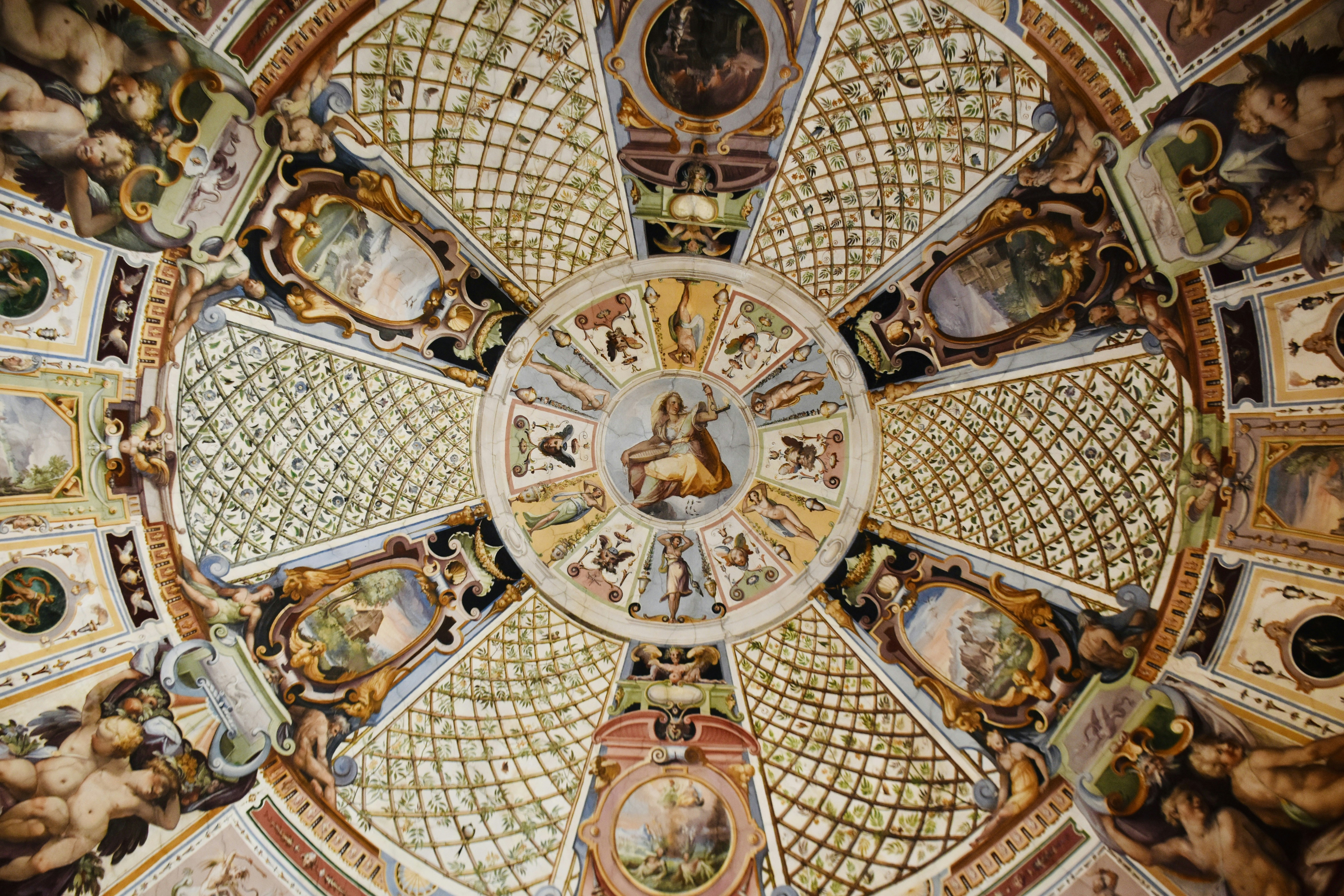 Photo by arnosenoner