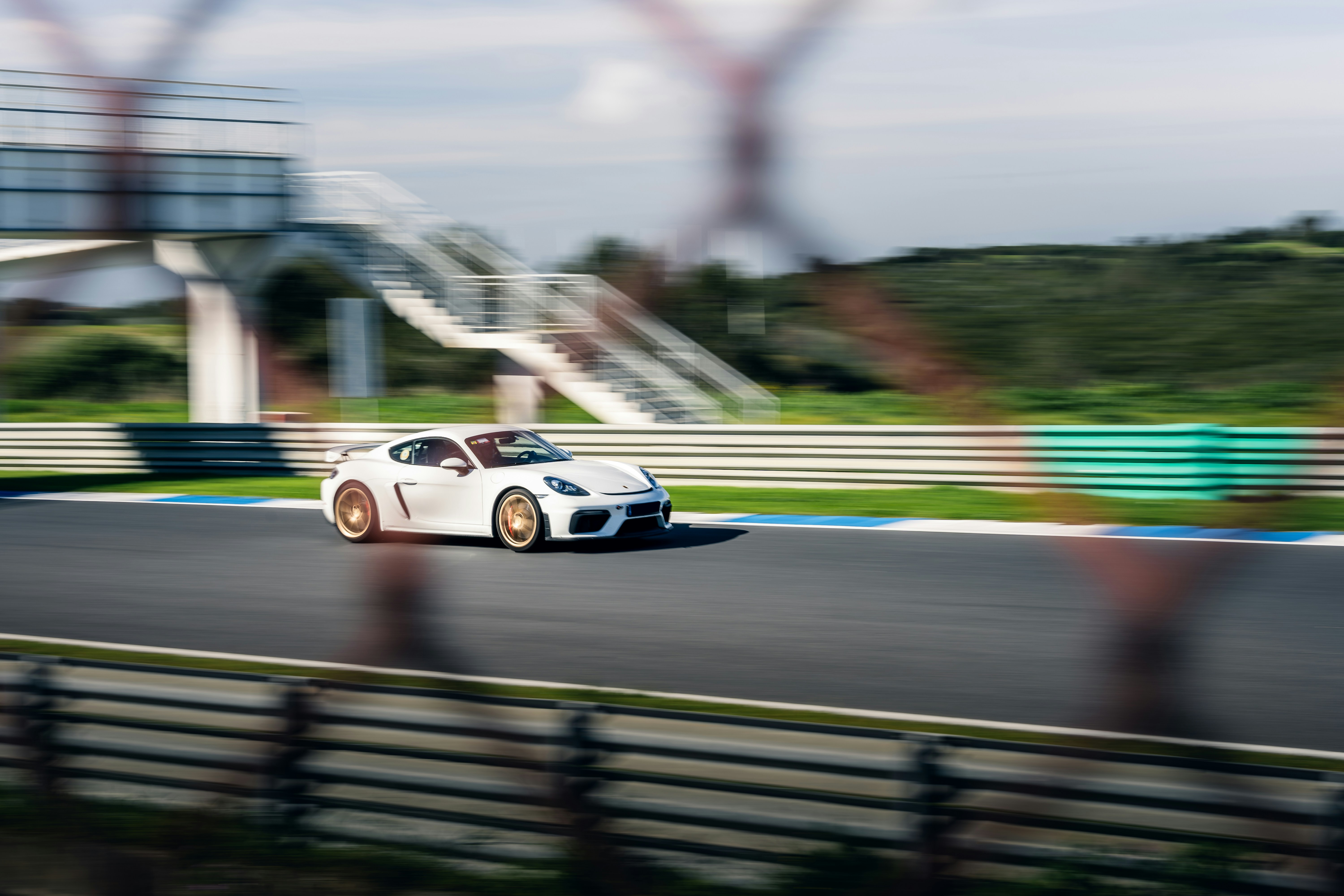 Photo by tiago_f_ferreira