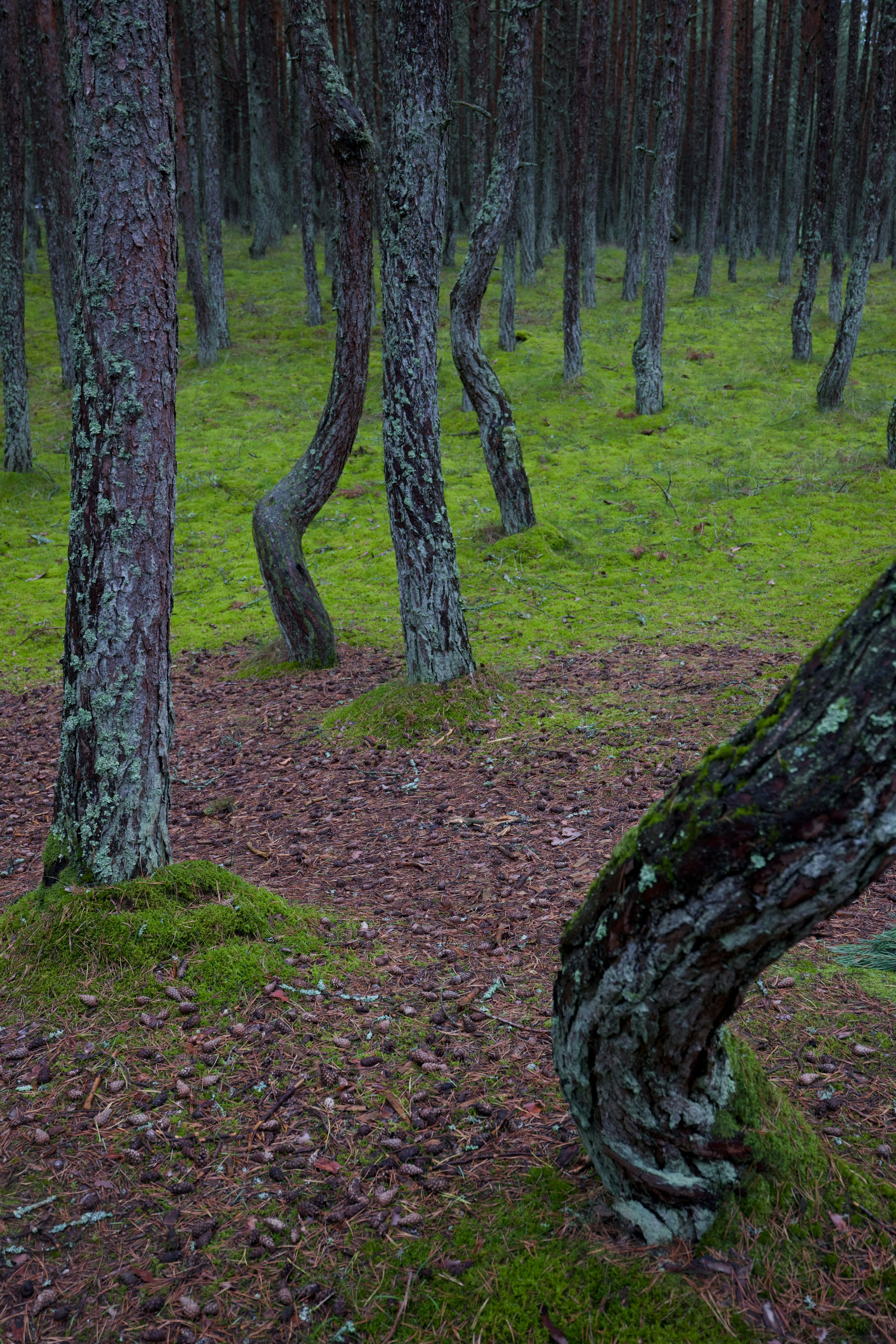 Photo by prokhorov