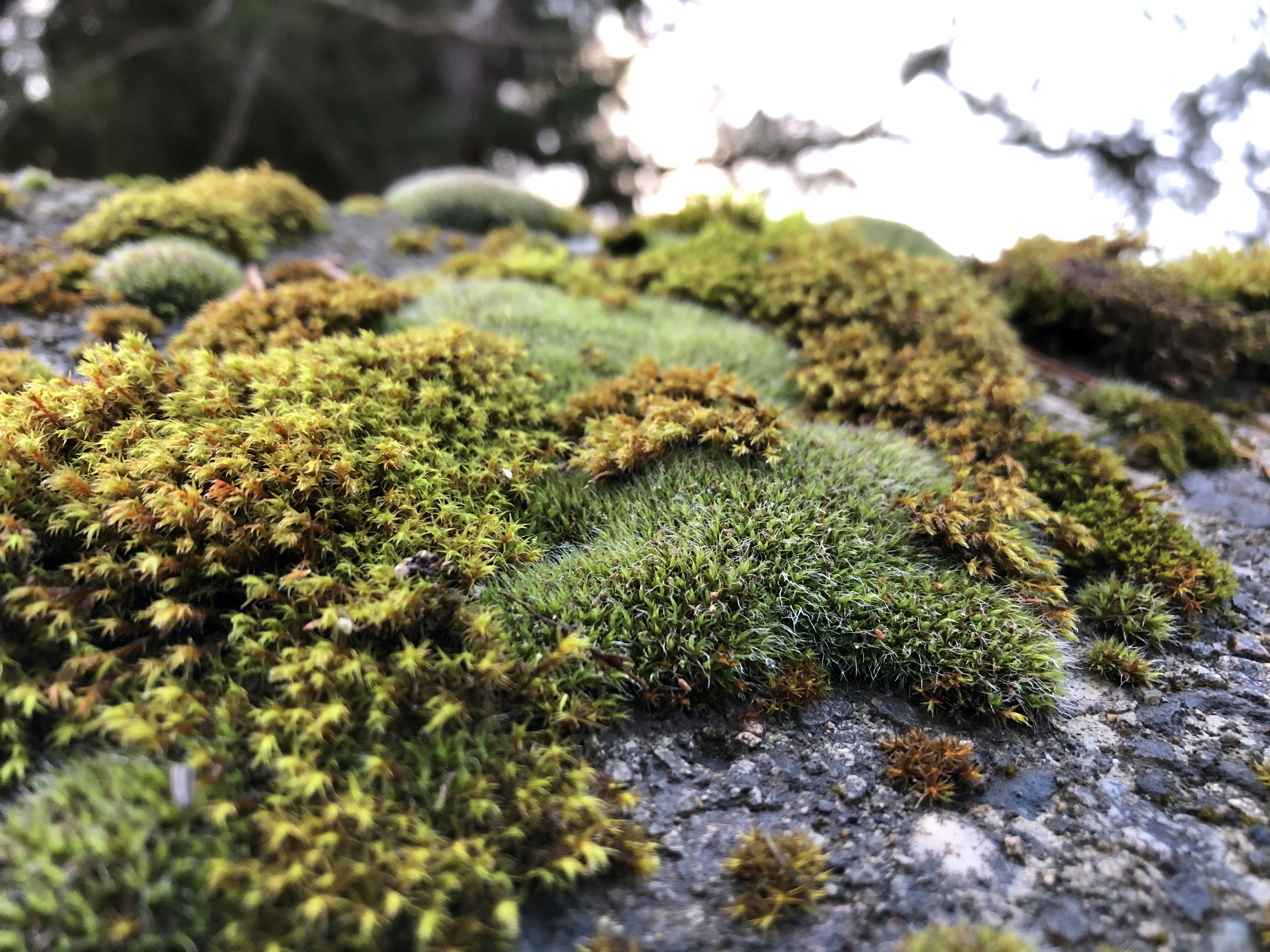 Photo by nathaniel2010