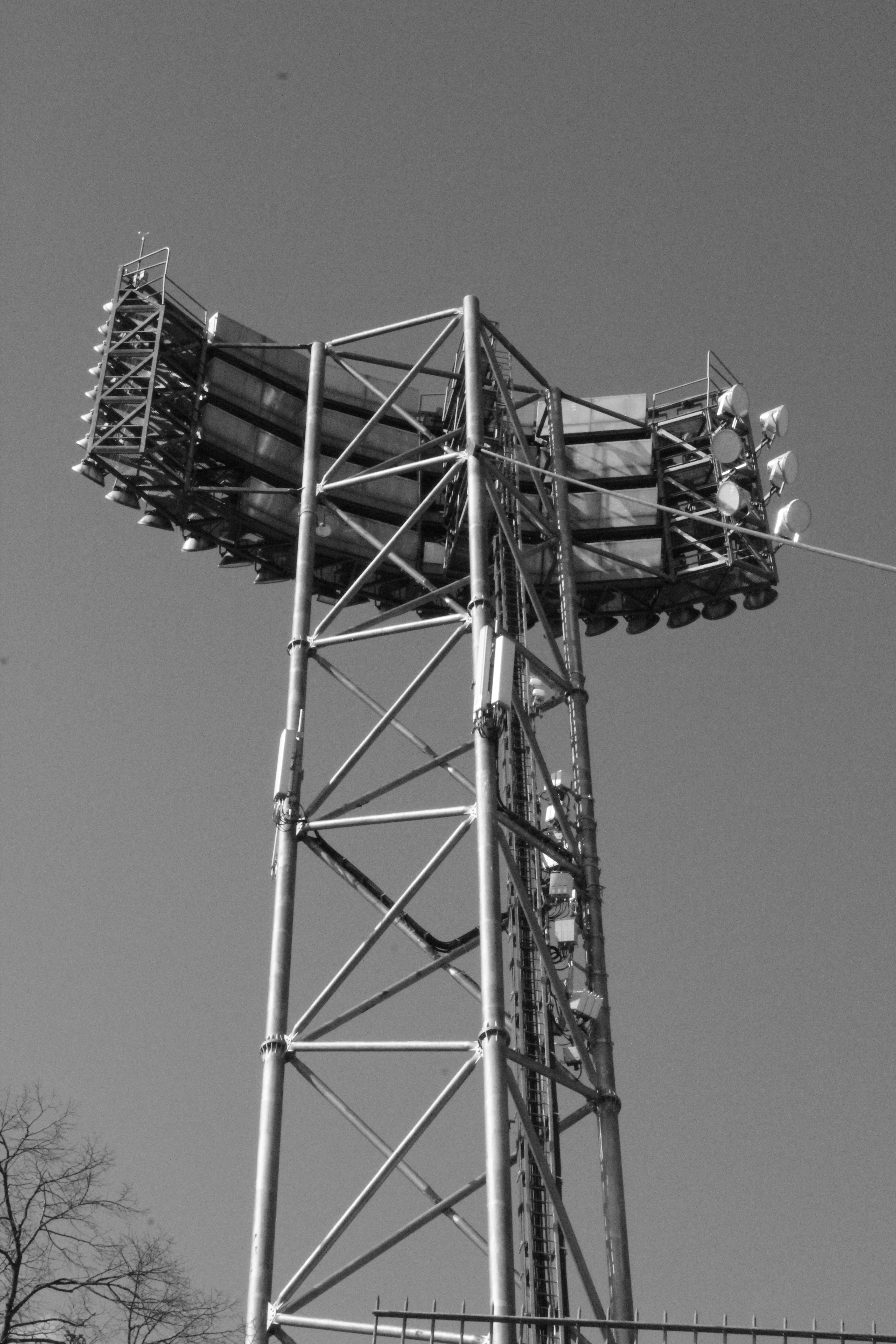 Photo by amirarsalan93