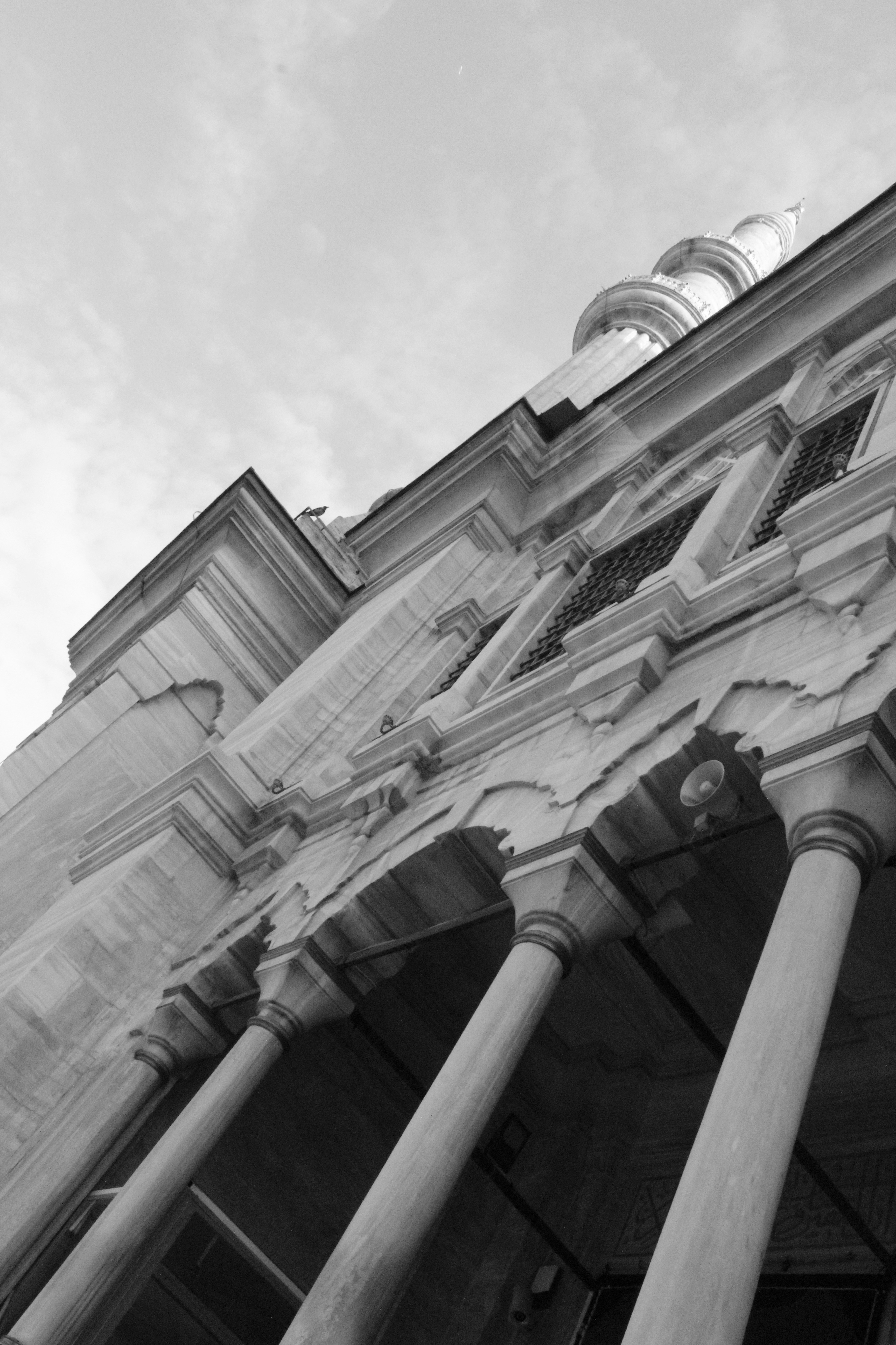 Photo by amirarsalan93