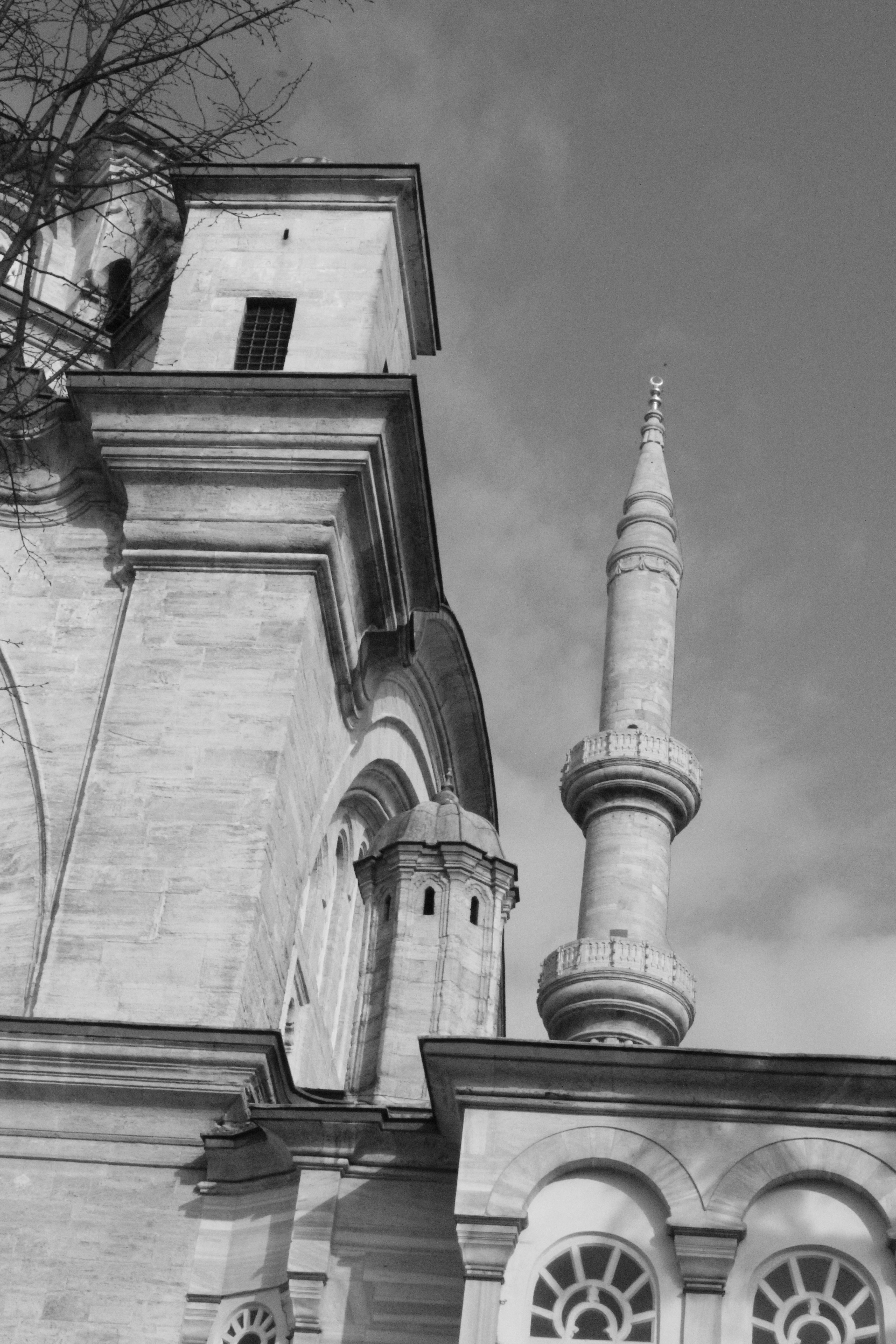 Photo by amirarsalan93