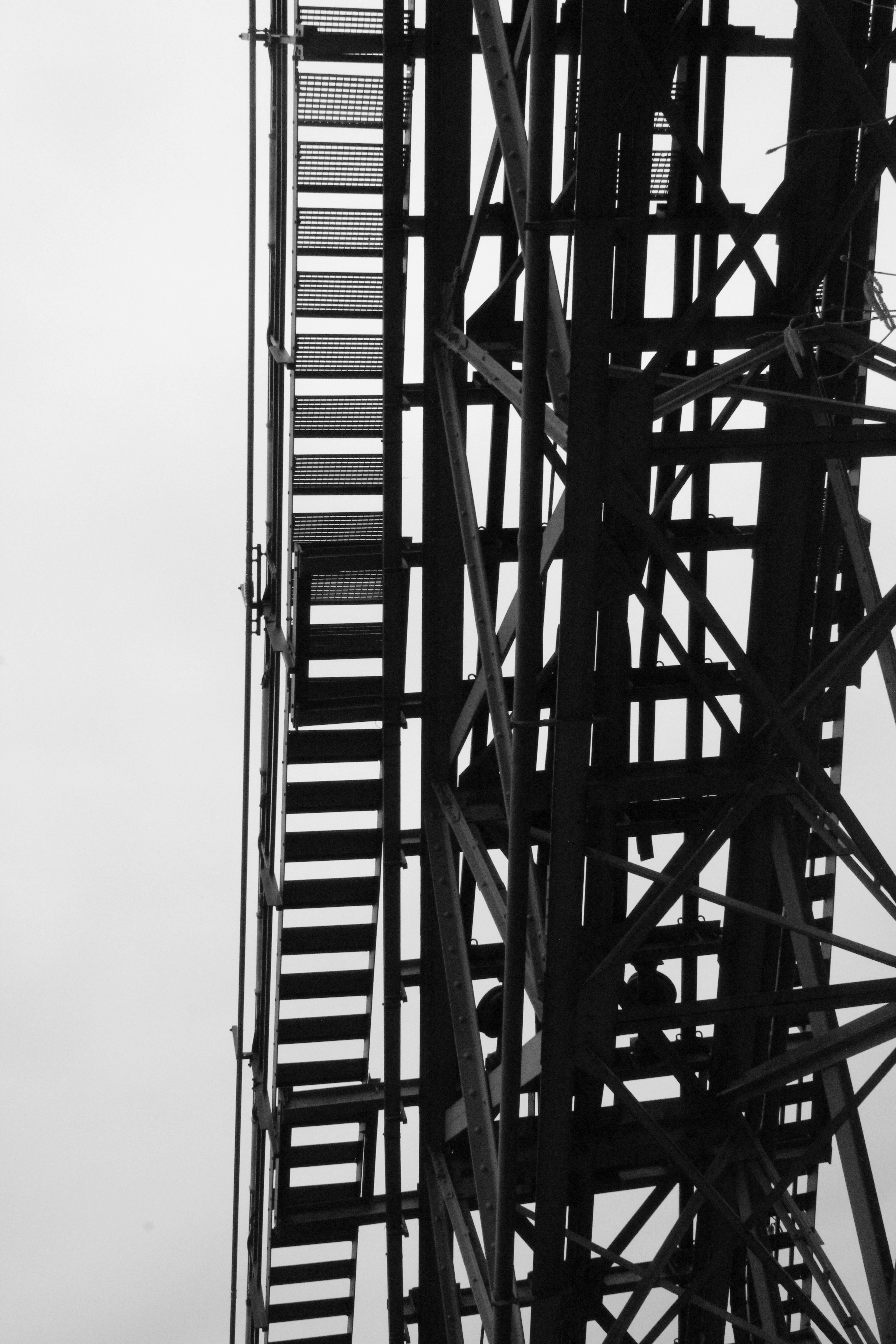 Photo by amirarsalan93