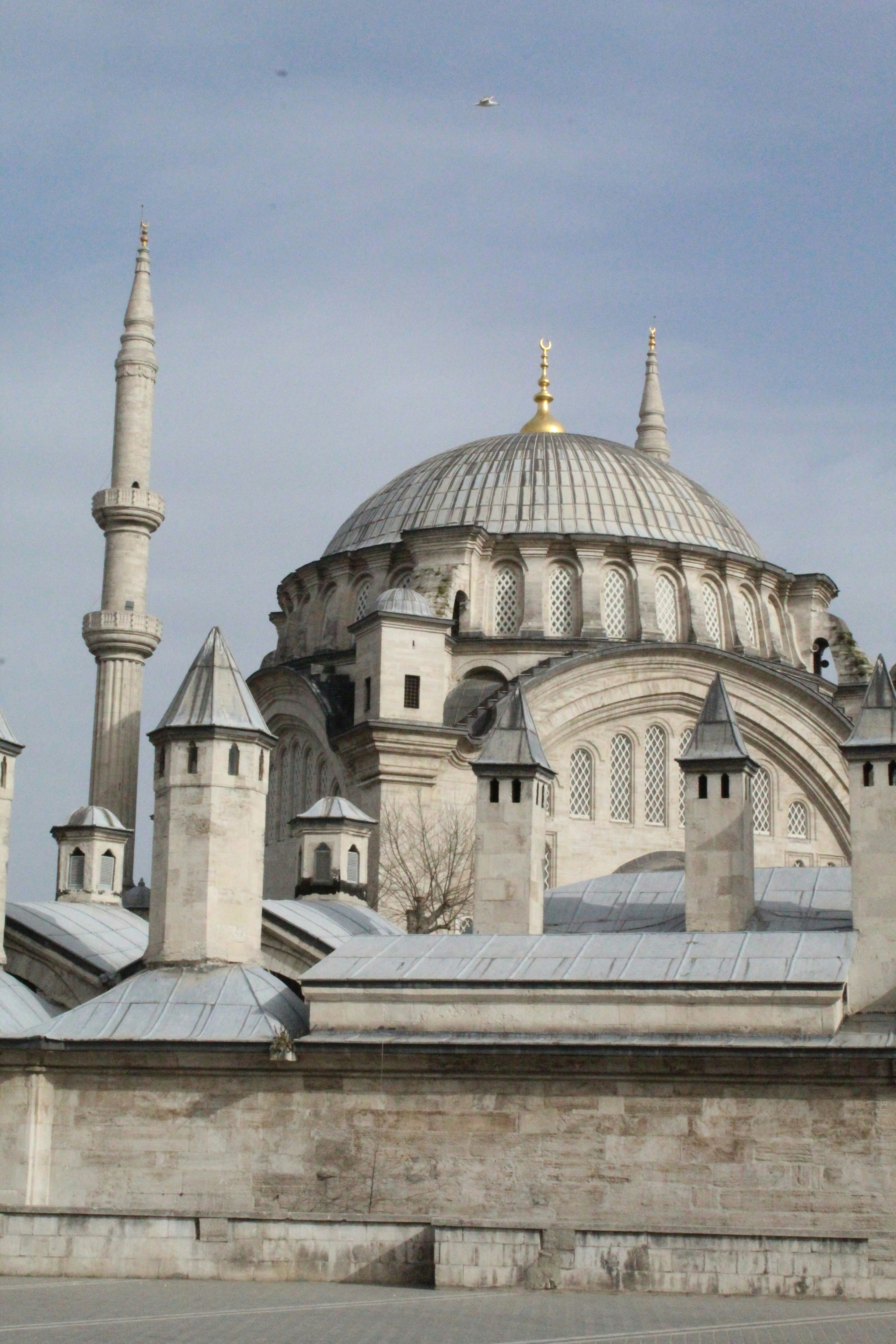 Photo by amirarsalan93