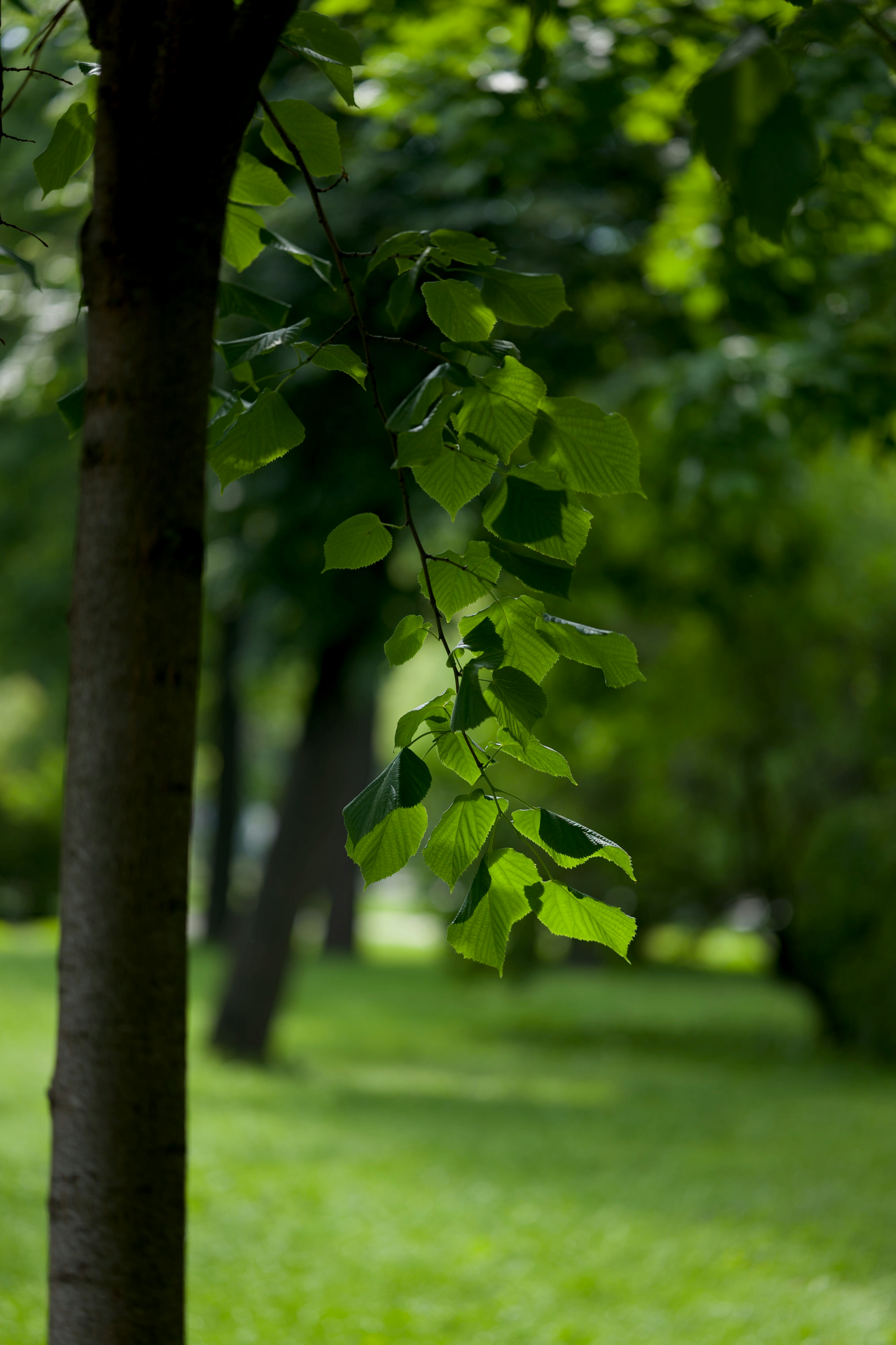 Photo by prokhorov
