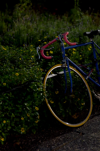 A bicycle is leaning against some green bushes.