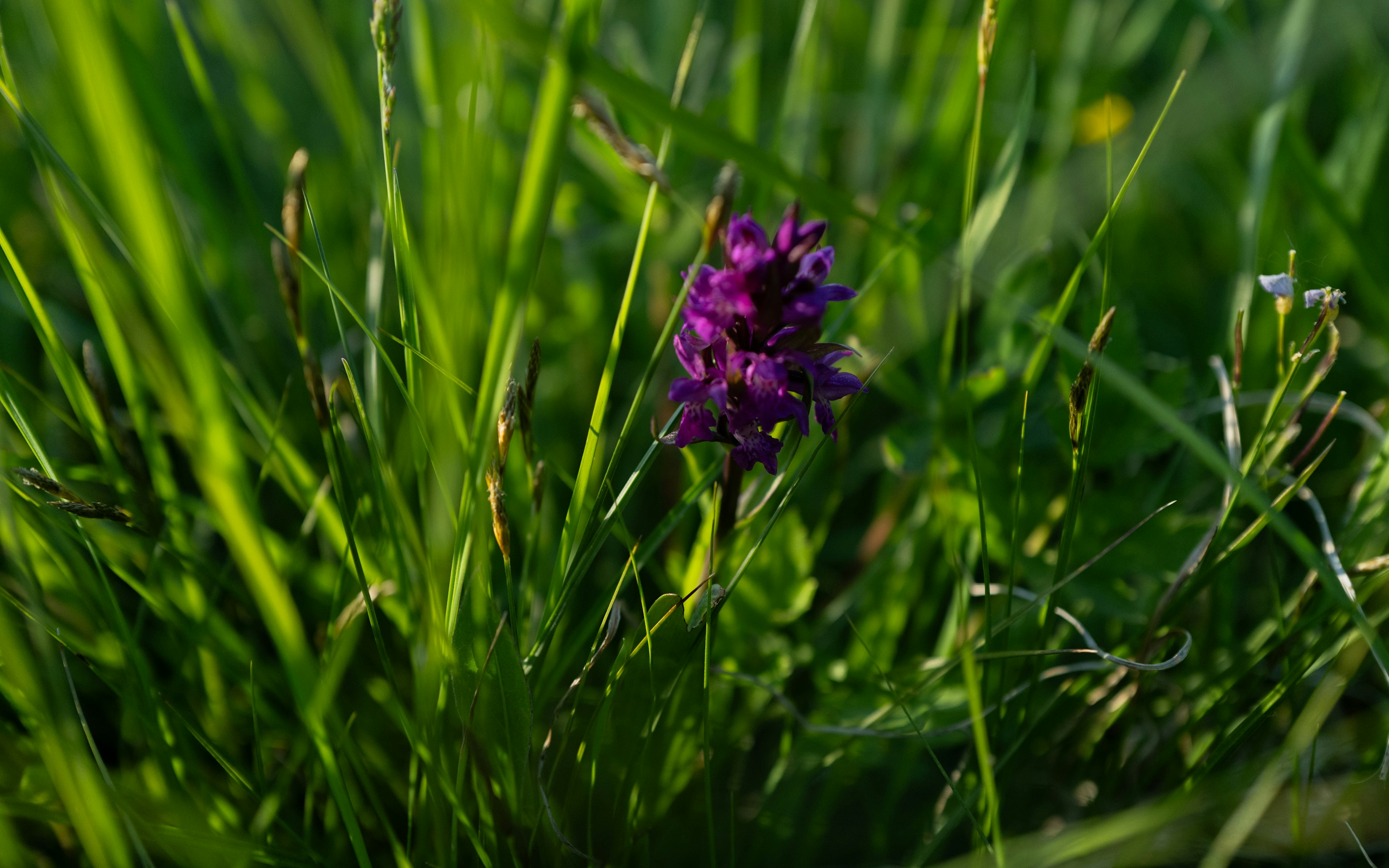 Photo by maikastheimer