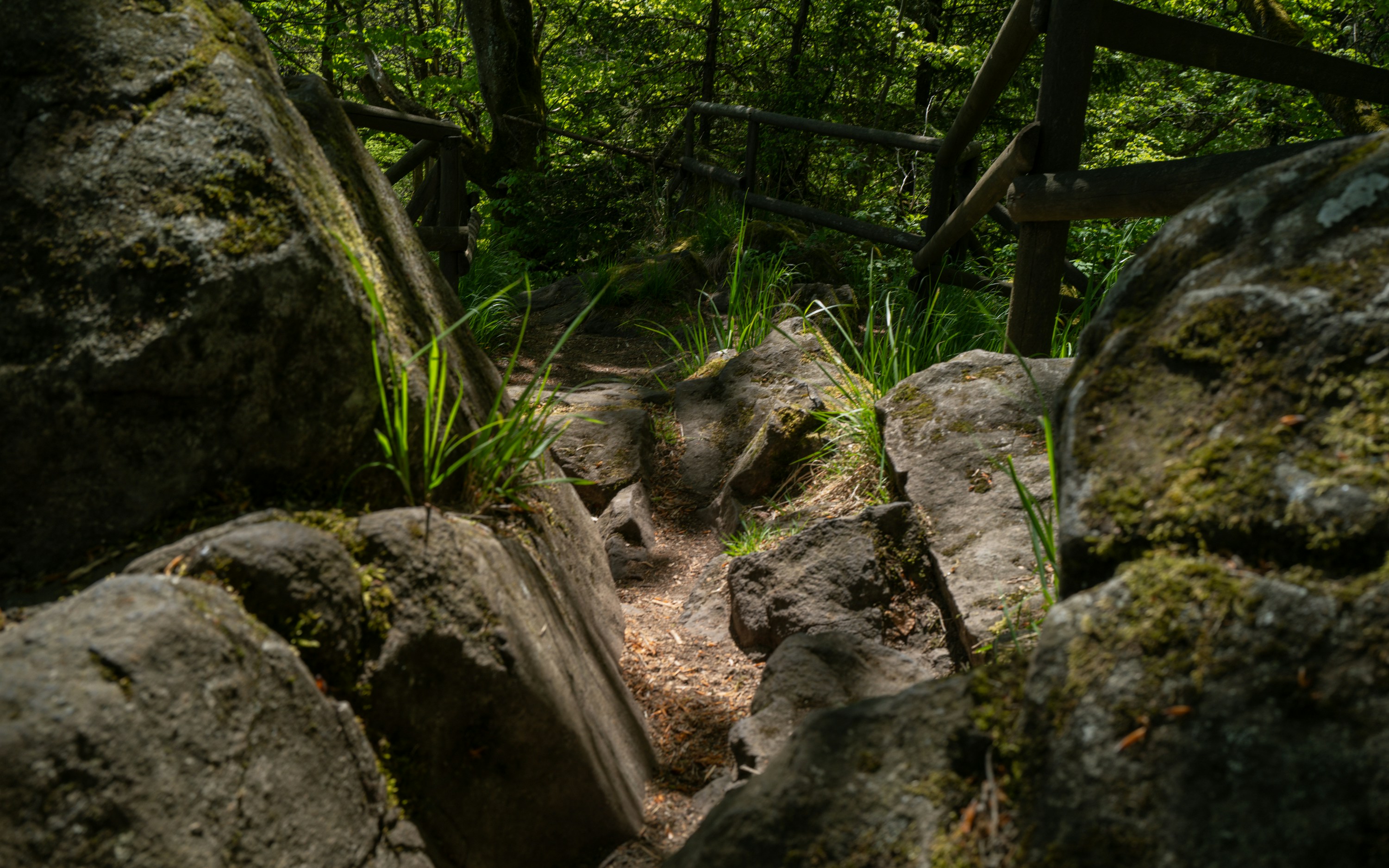 Photo by maikastheimer