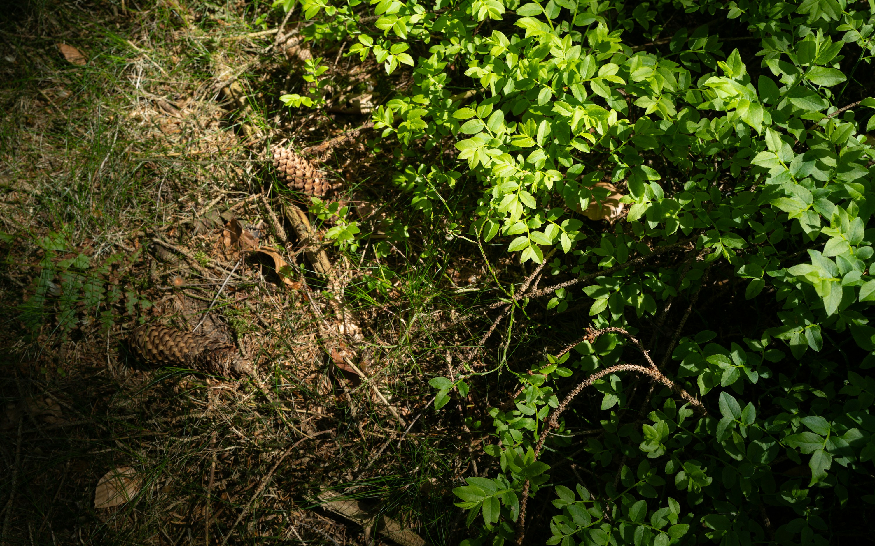 Photo by maikastheimer