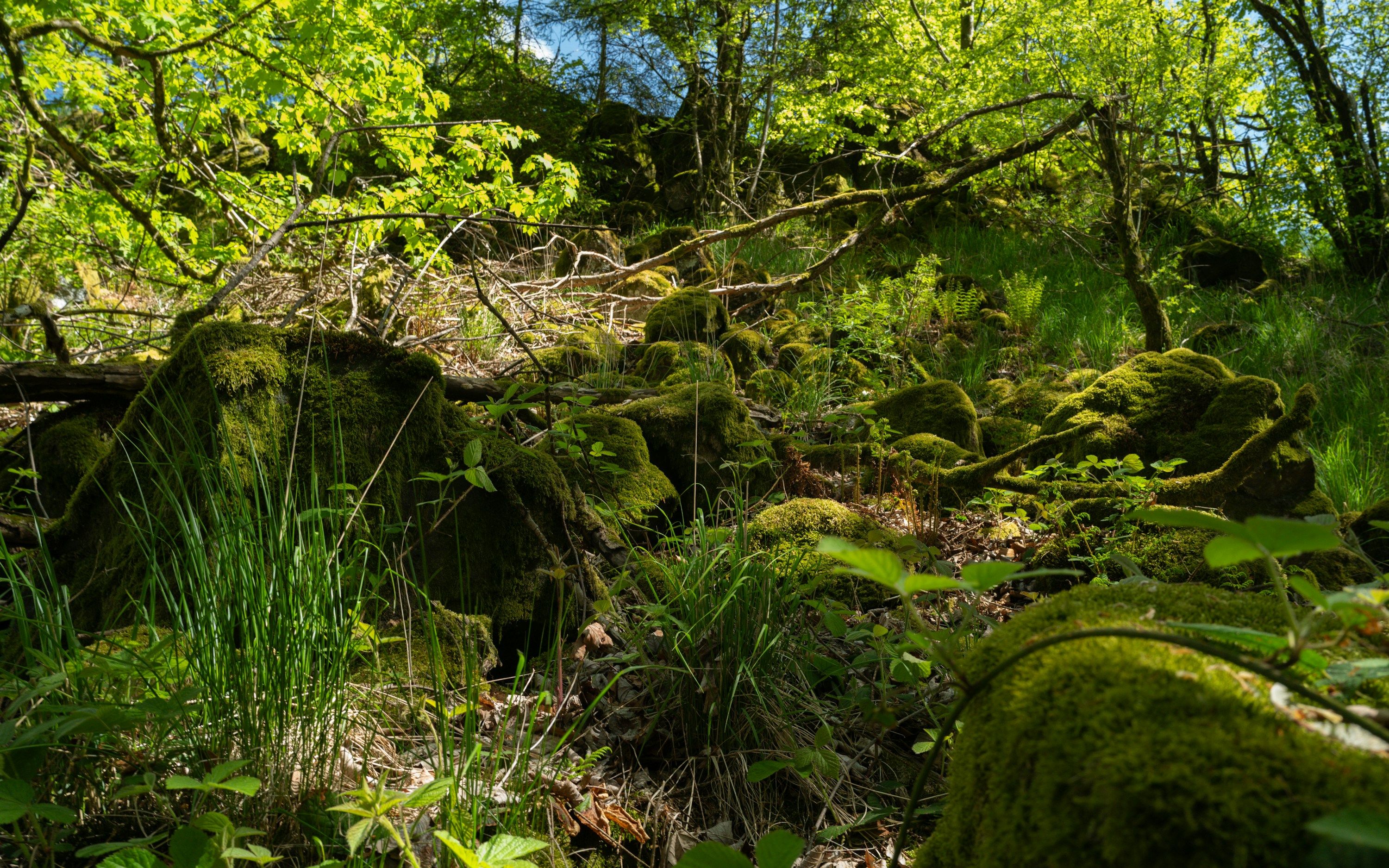 Photo by maikastheimer