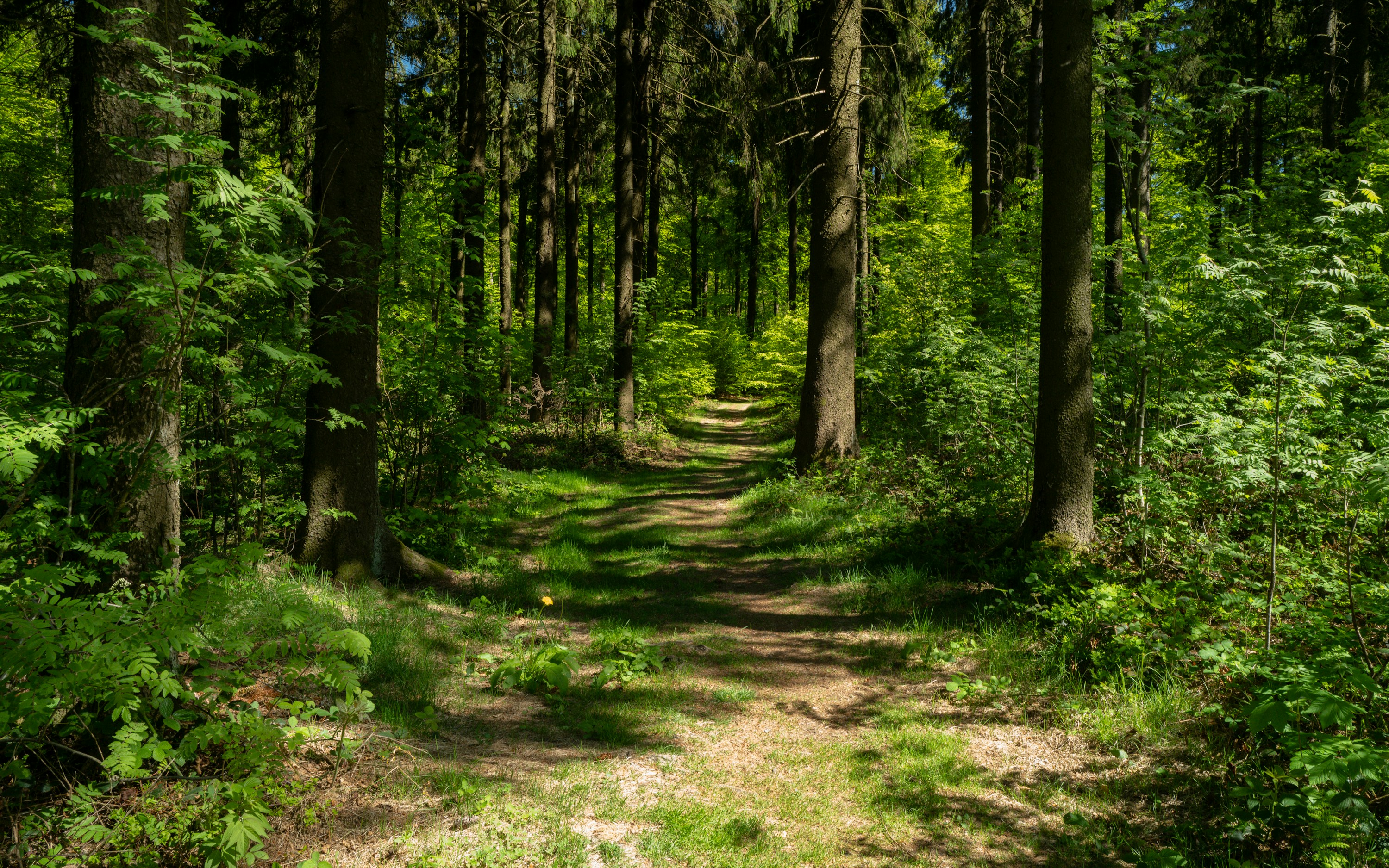 Photo by maikastheimer