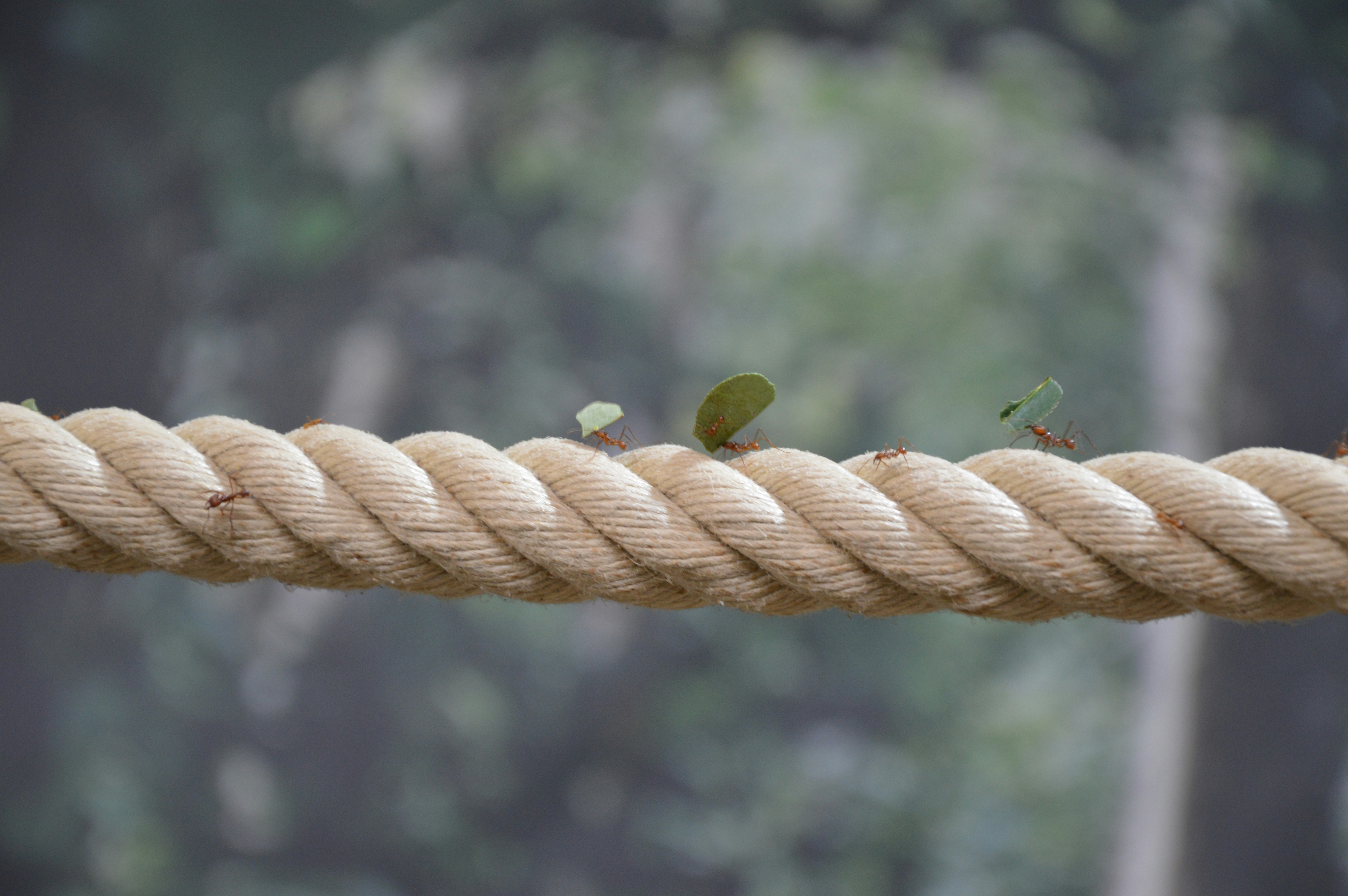 Unlocking Abundance: Practical Law of Attraction Techniques